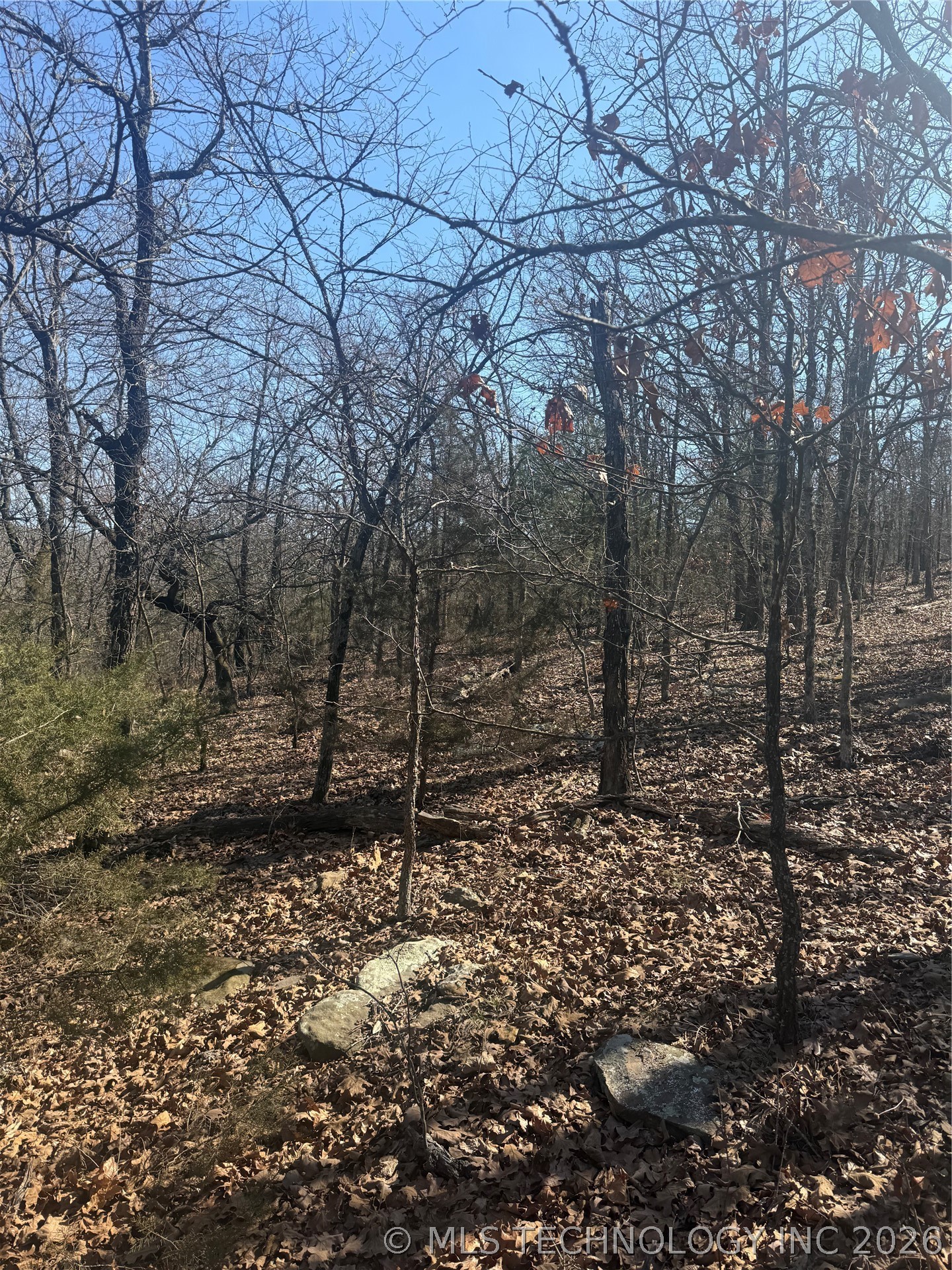 Fig Road Property Photo 14