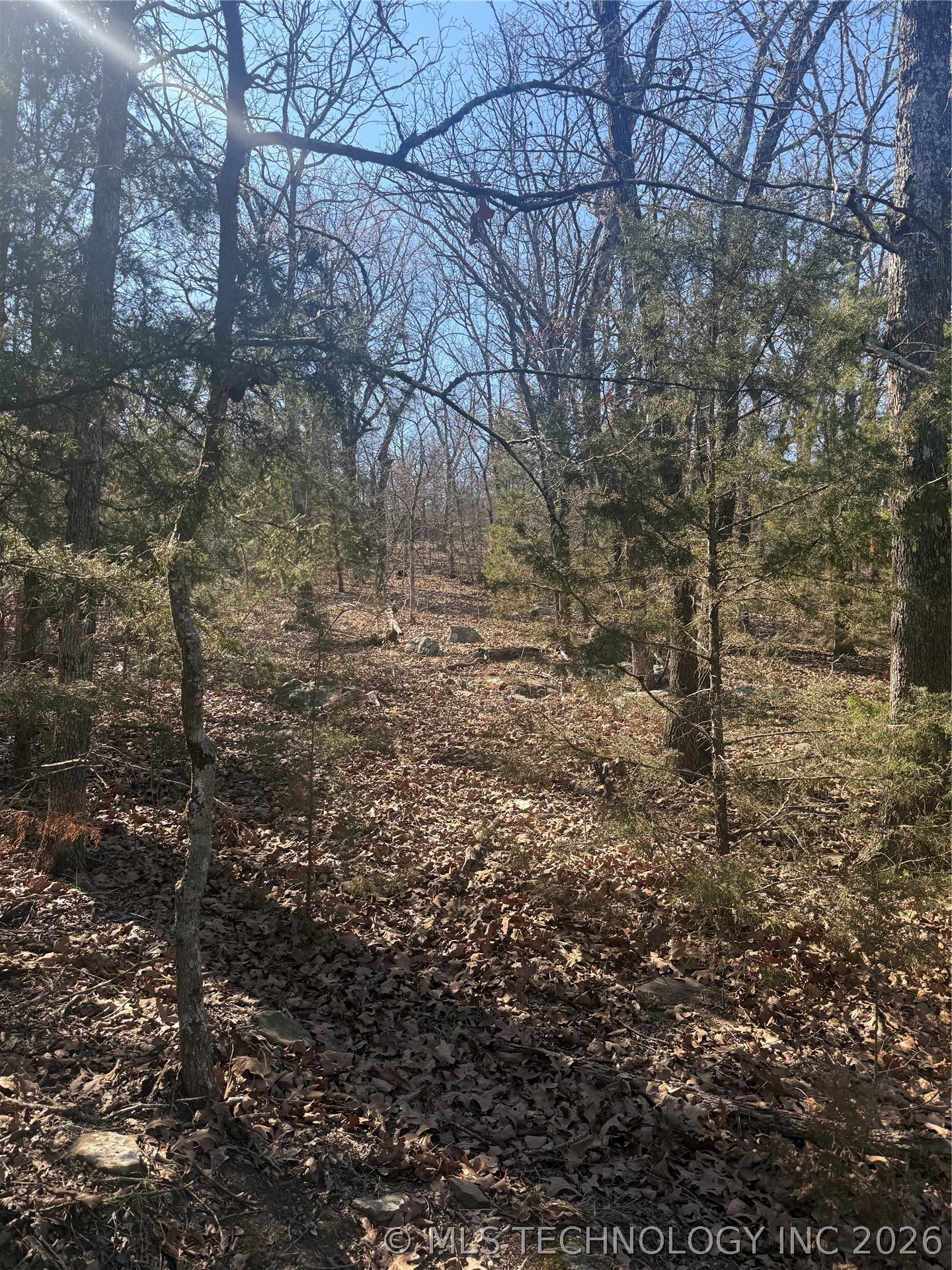 Fig Road Property Photo 15