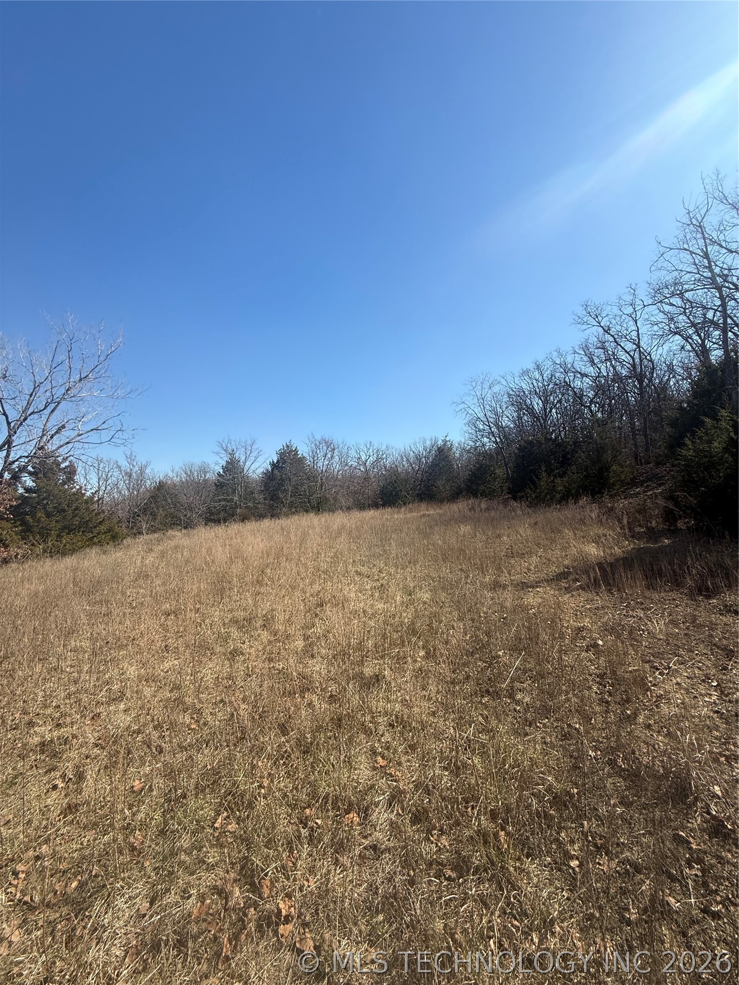 Fig Road Property Photo 16