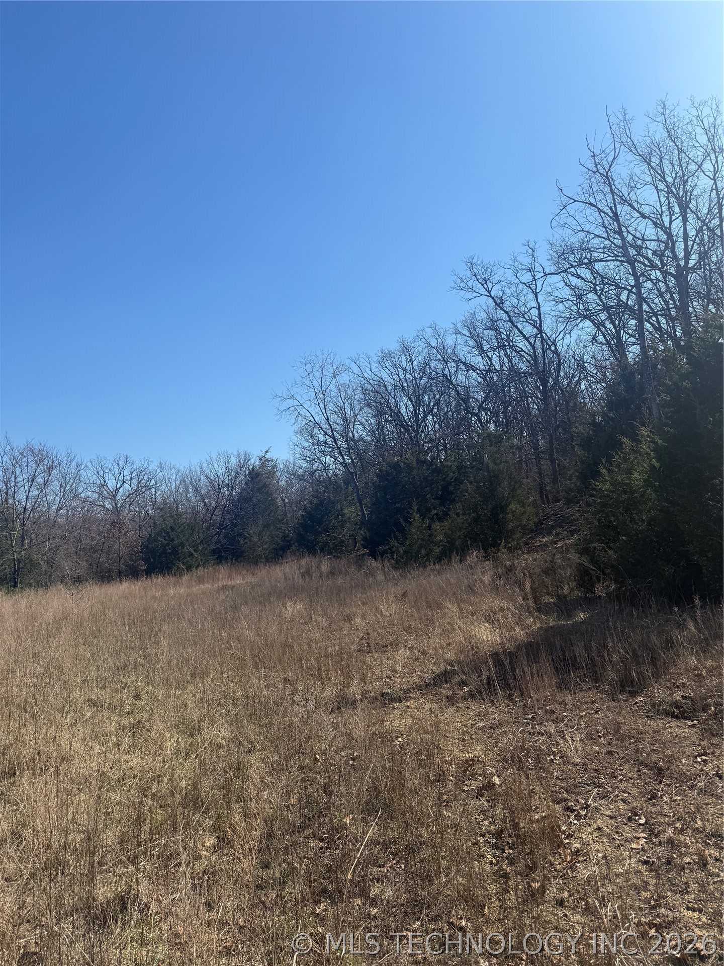 Fig Road Property Photo 17