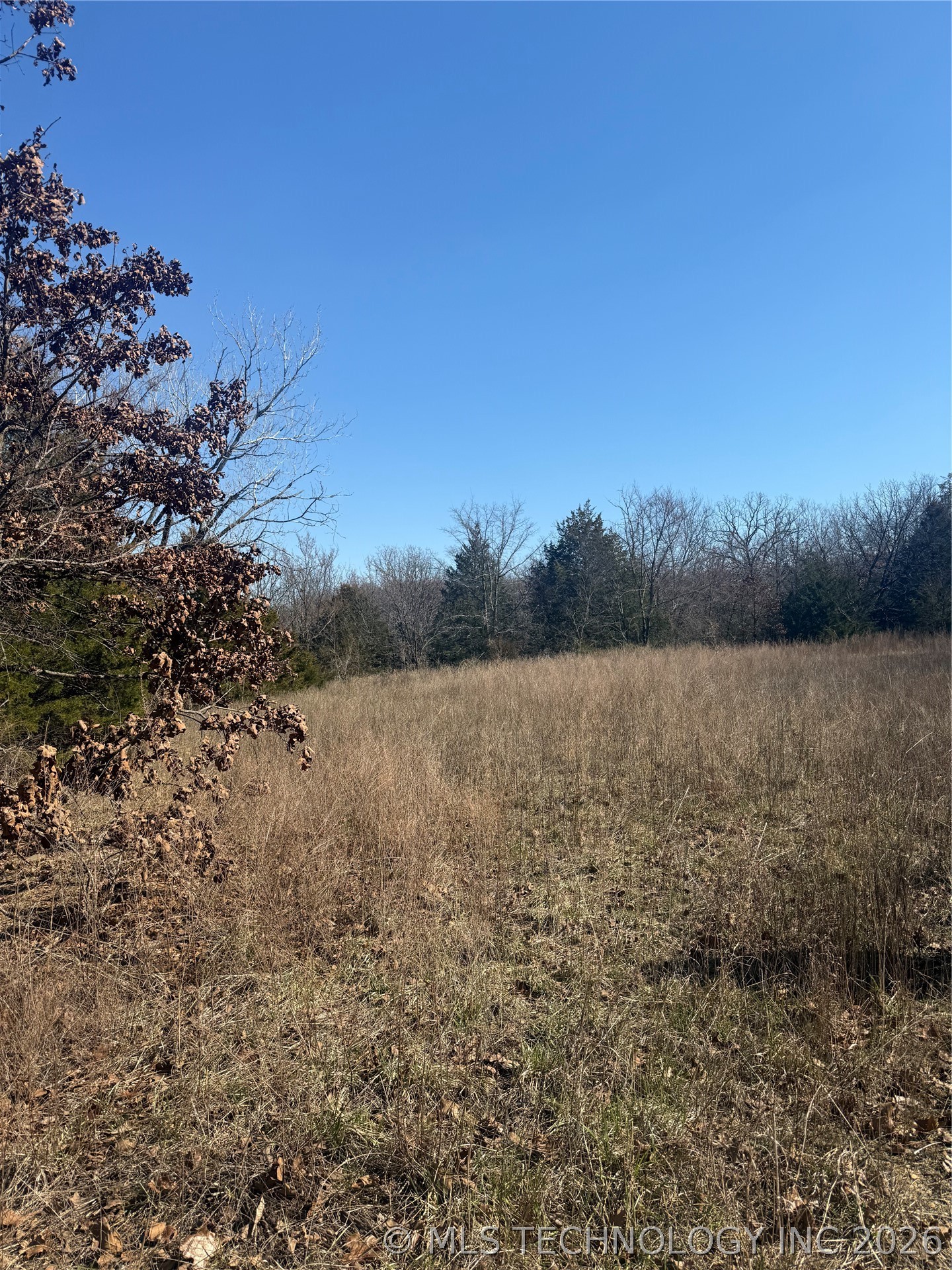 Fig Road Property Photo 18