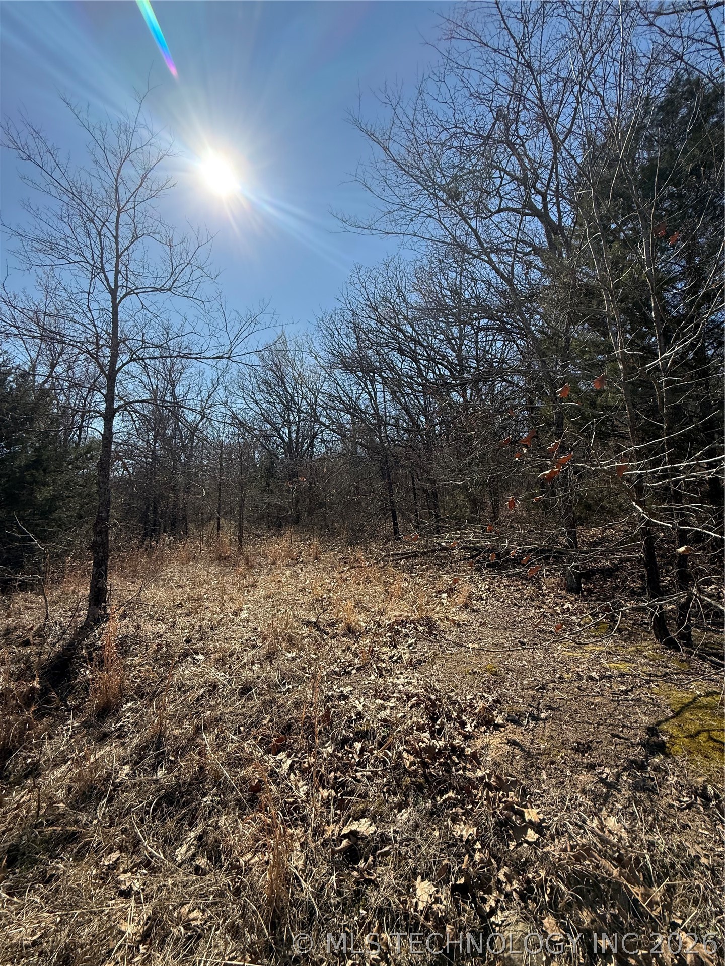 Fig Road Property Photo 19