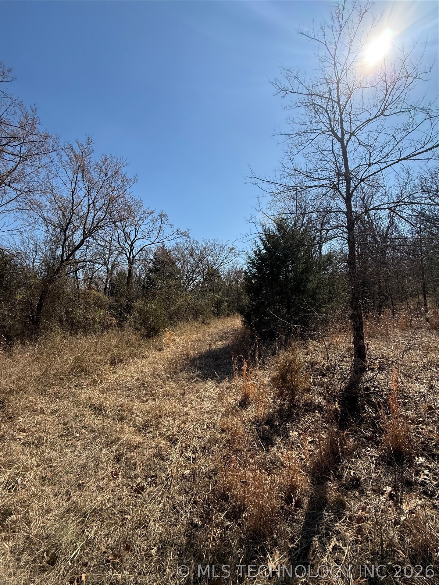 Fig Road Property Photo 20