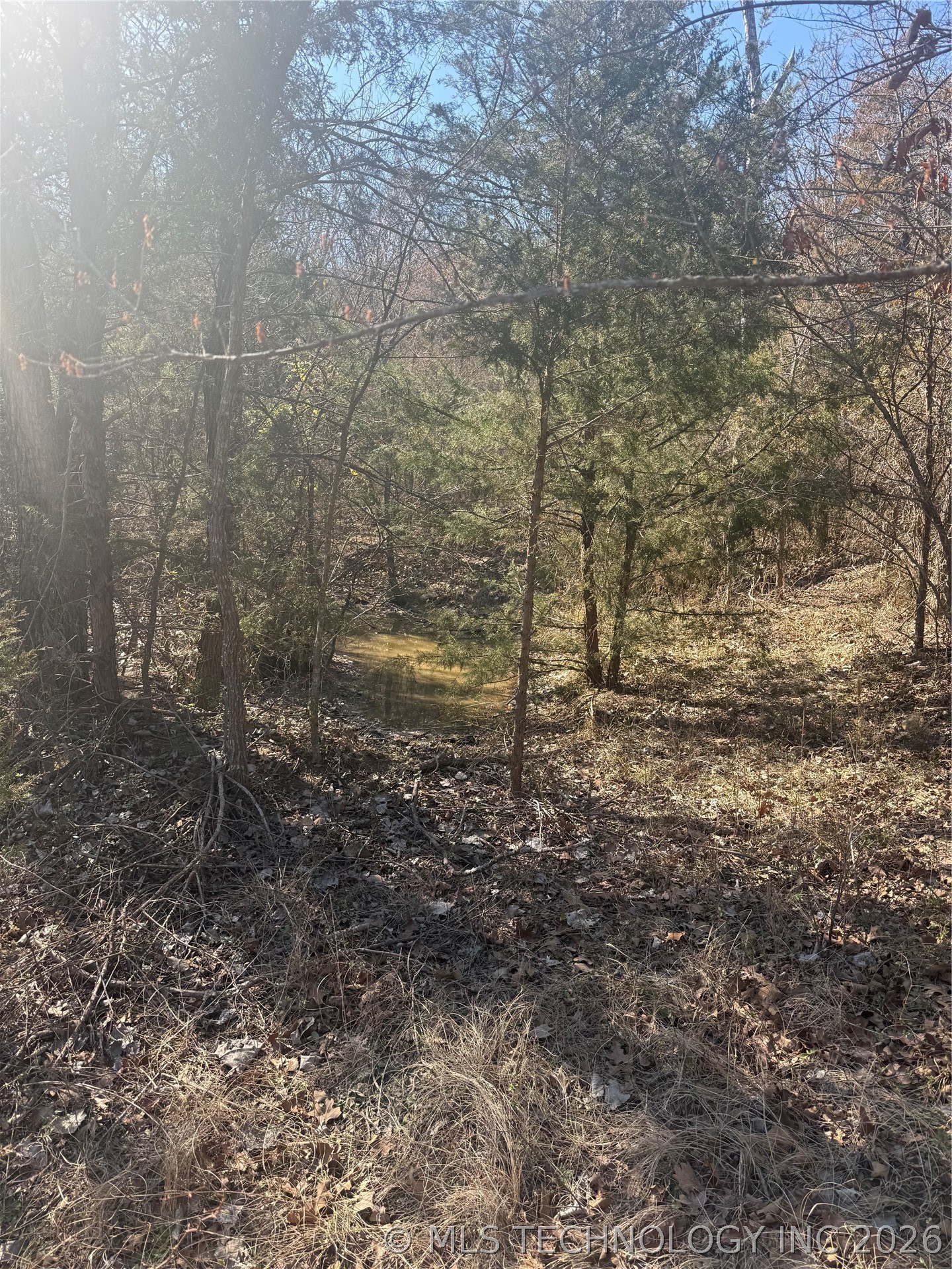 Fig Road Property Photo 21