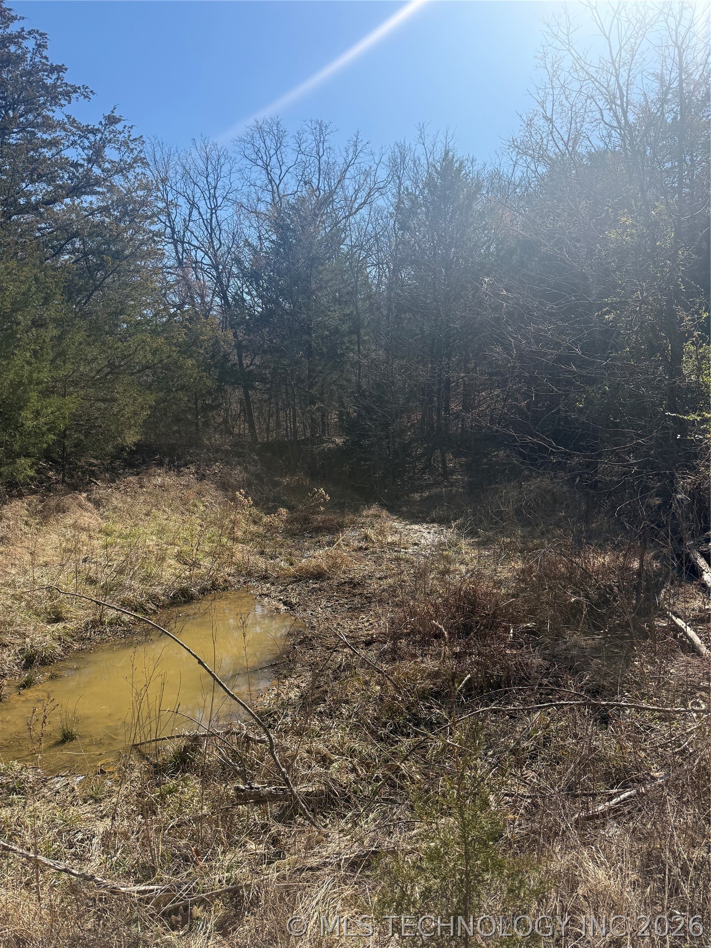 Fig Road Property Photo 22