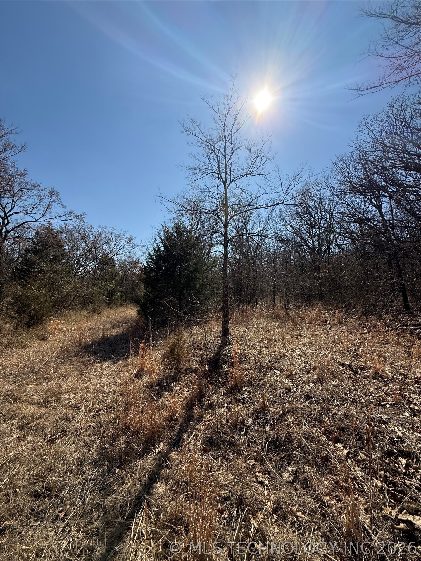 Fig Road Property Photo 23