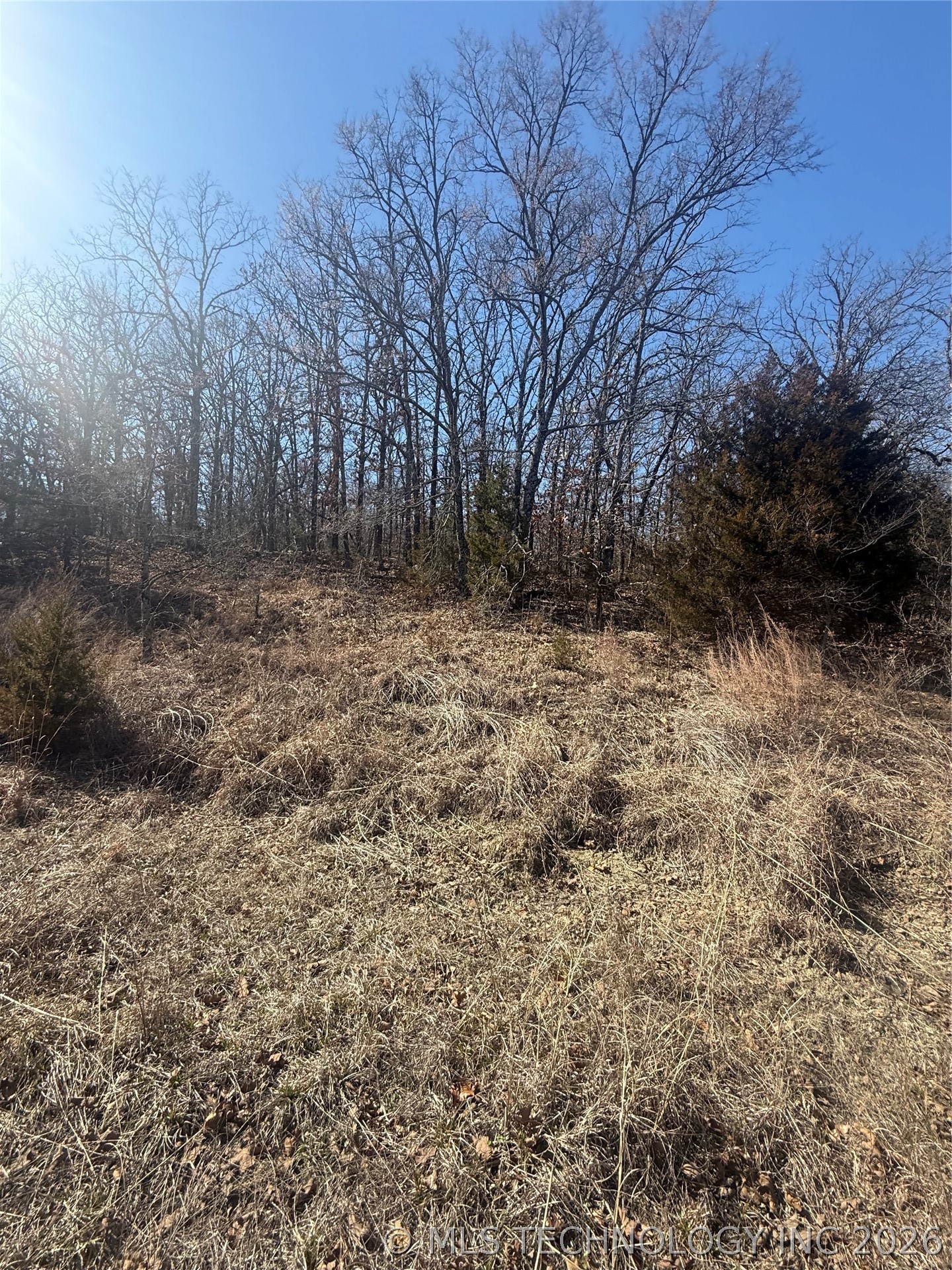 Fig Road Property Photo 24