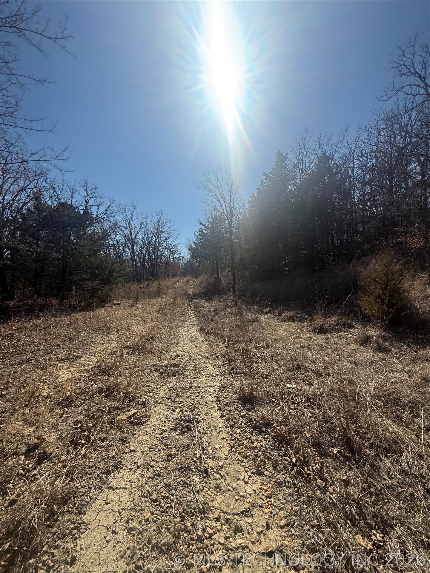 Fig Road Property Photo 25