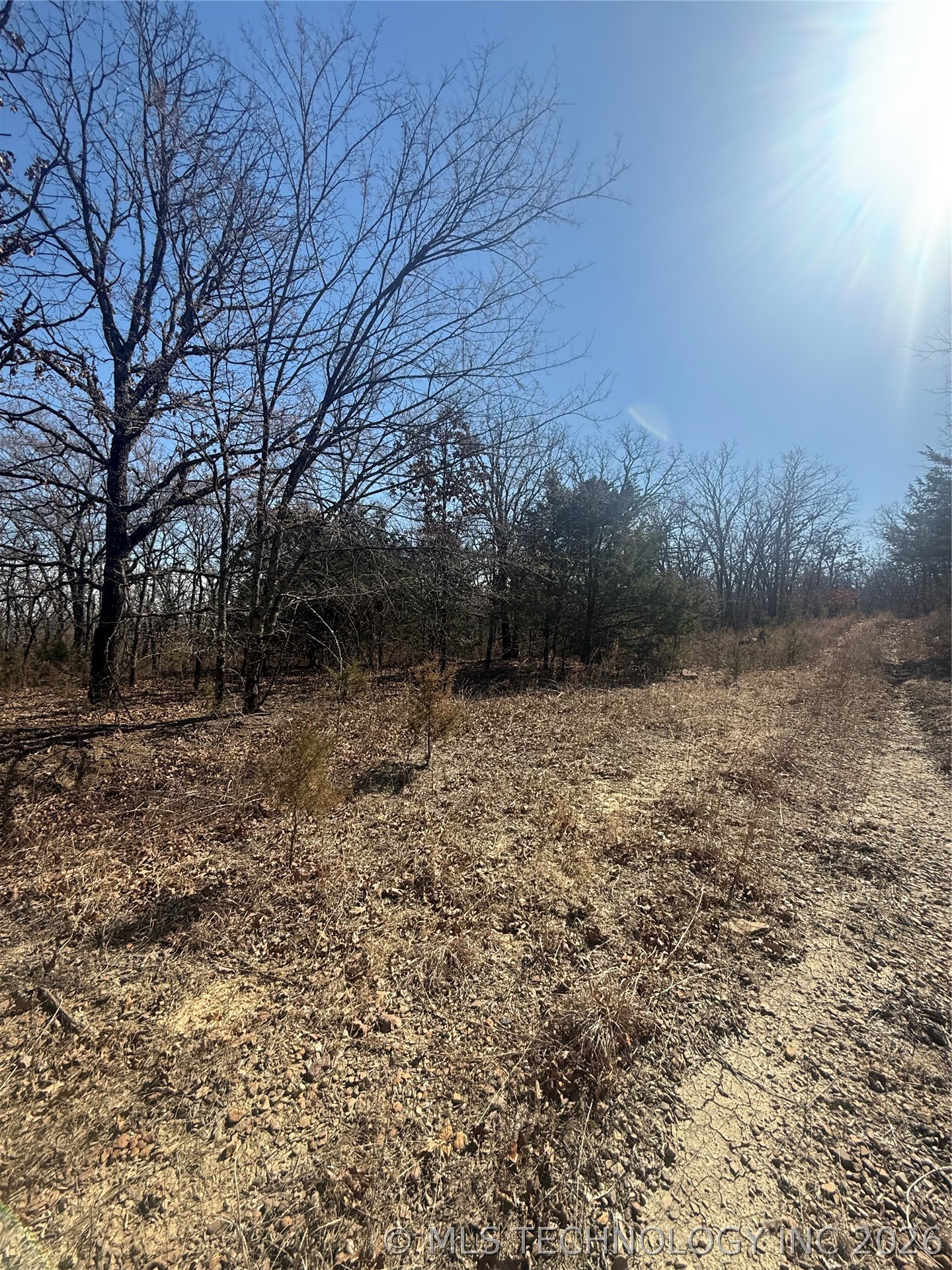 Fig Road Property Photo 26