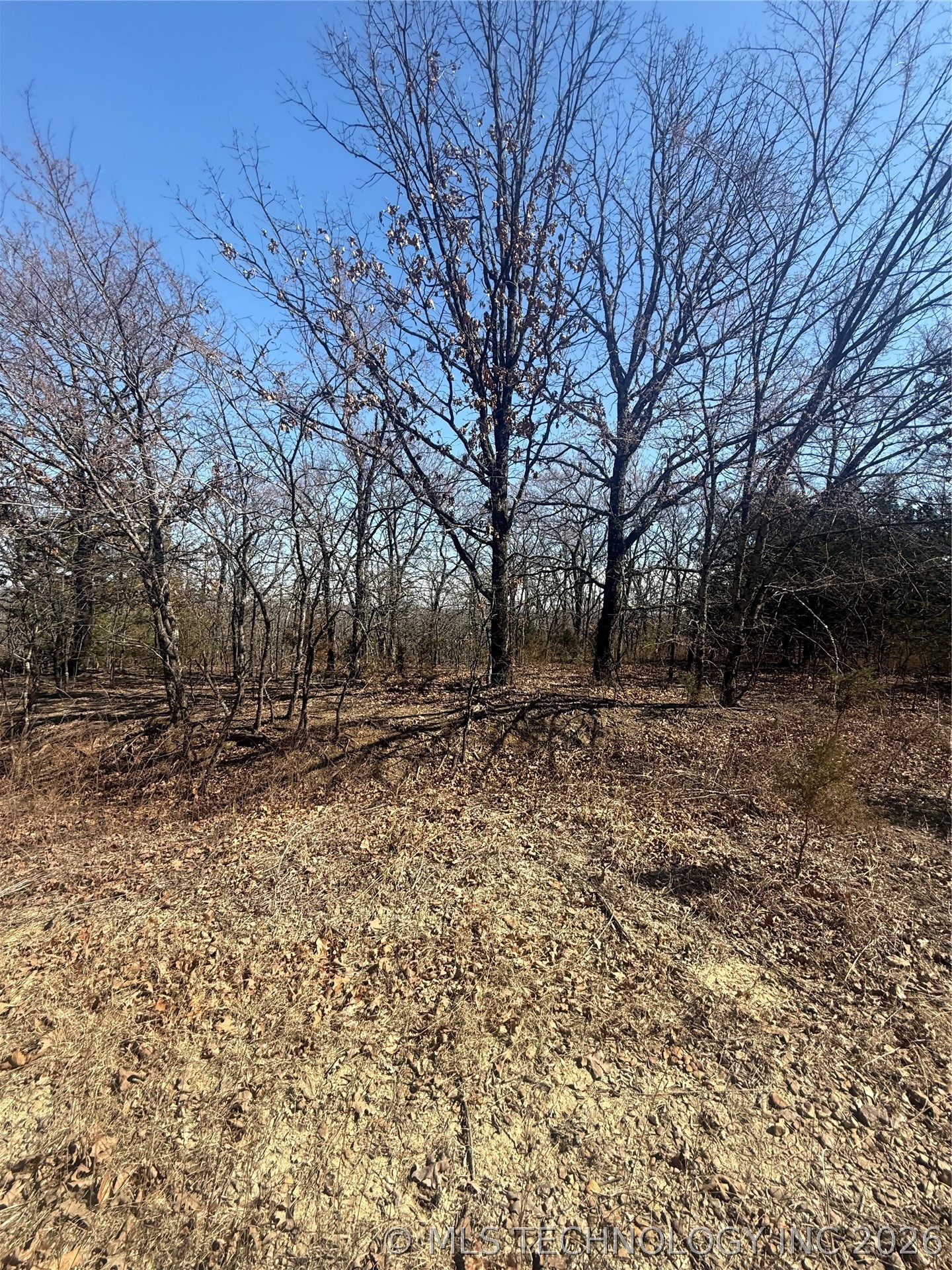 Fig Road Property Photo 27