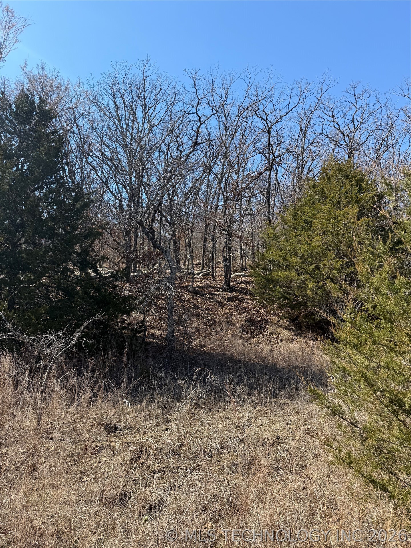 Fig Road Property Photo 28