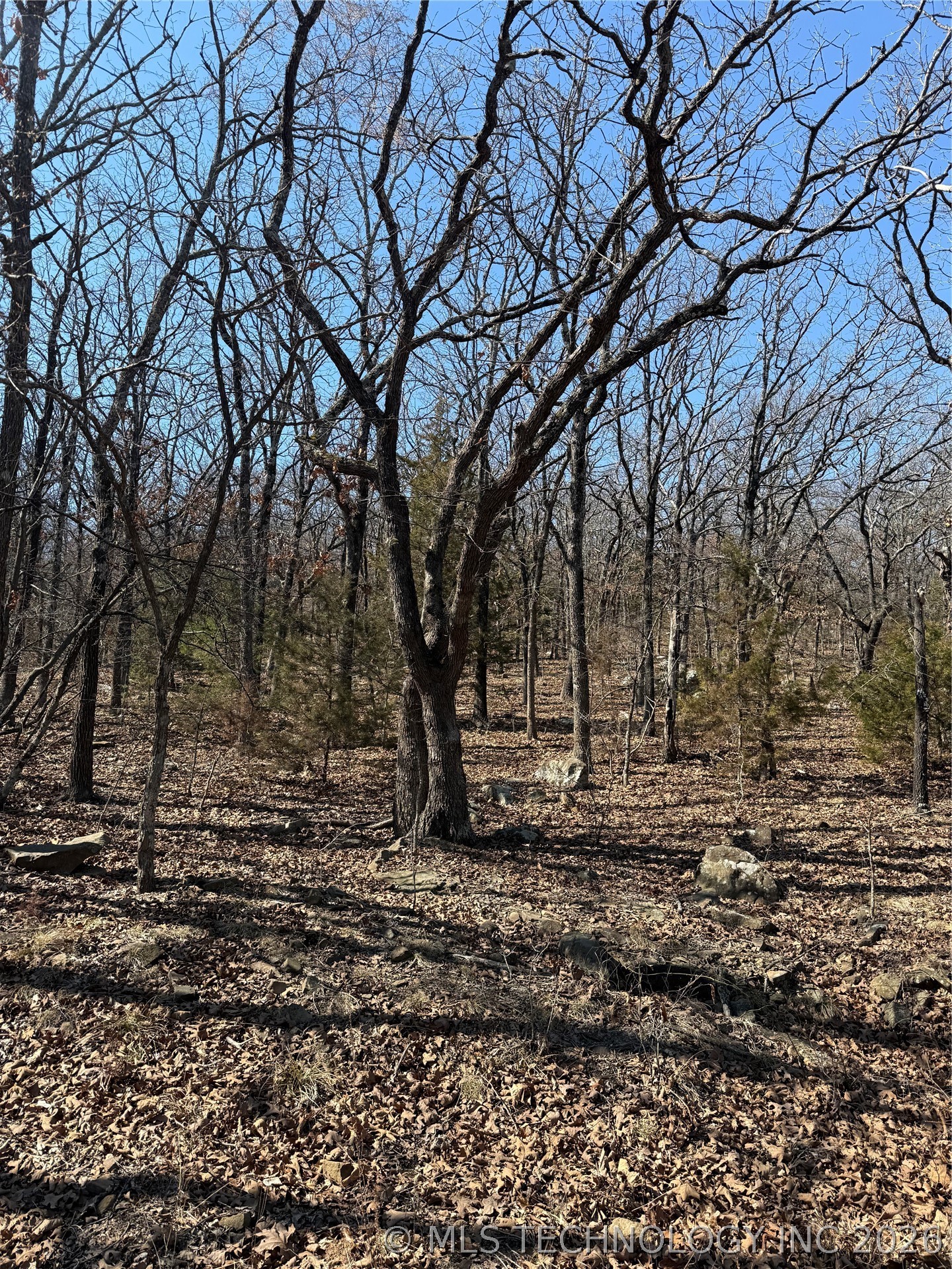 Fig Road Property Photo 30