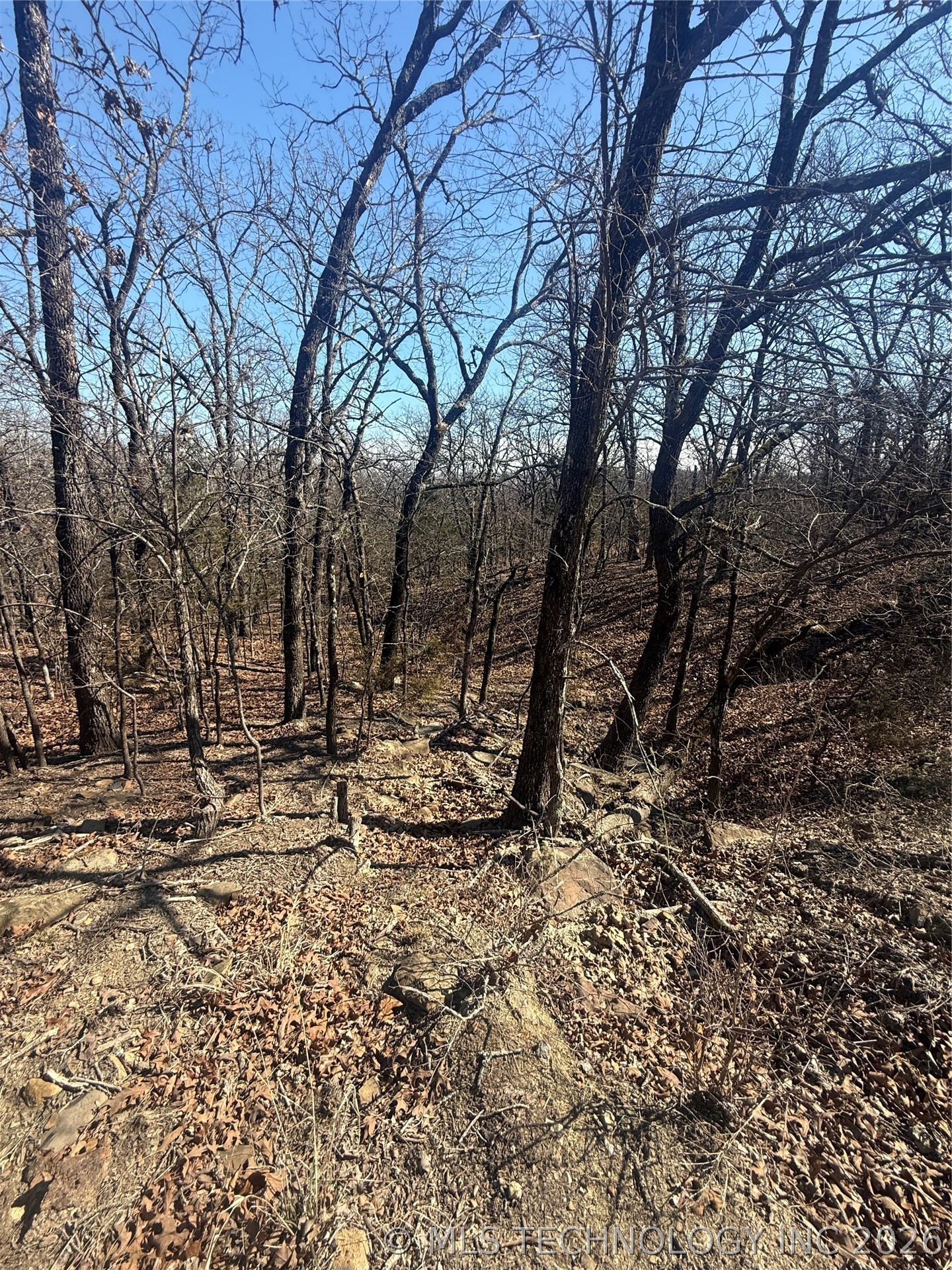 Fig Road Property Photo 31