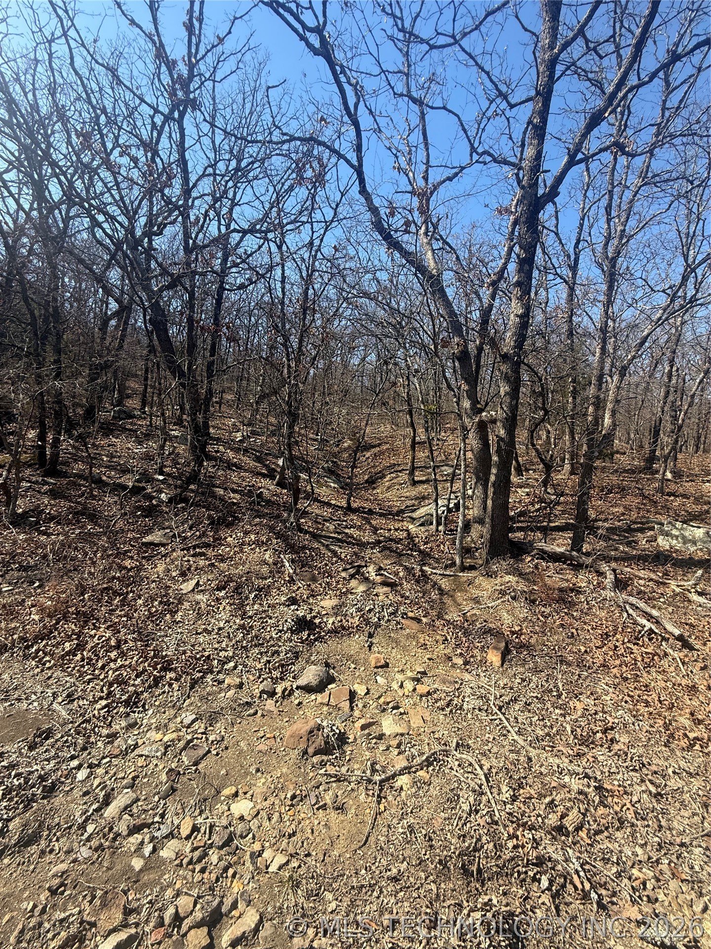 Fig Road Property Photo 32