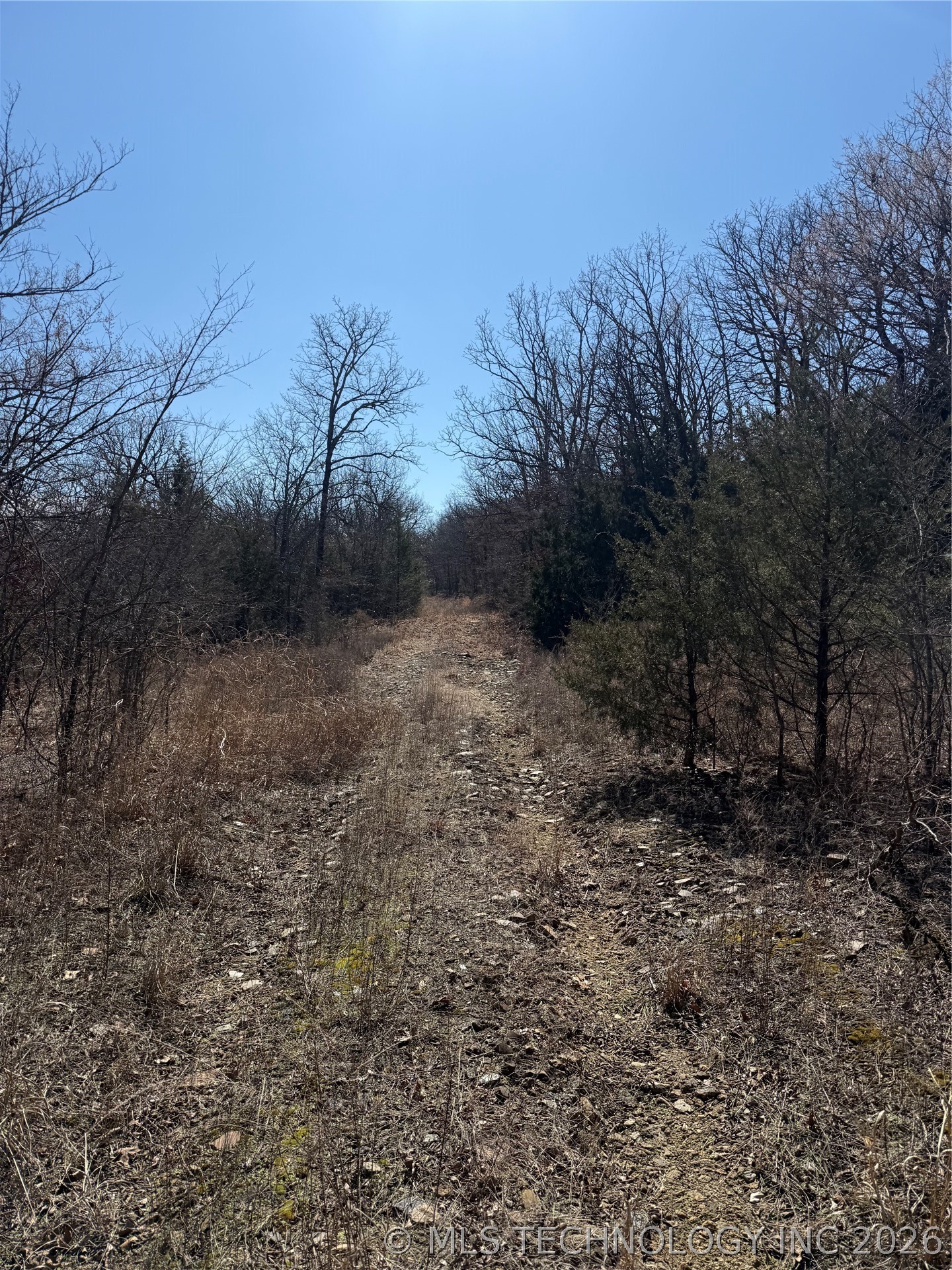 Fig Road Property Photo 33