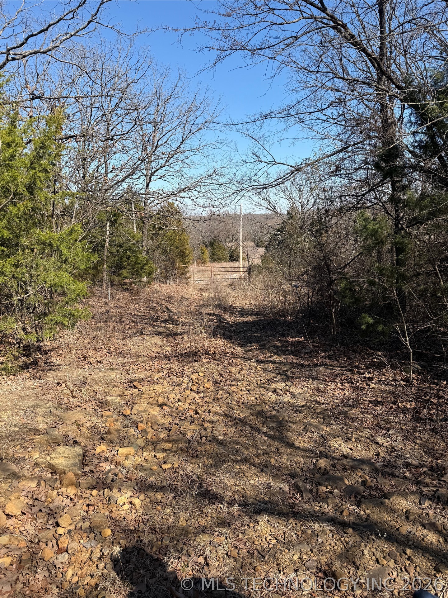 Fig Road Property Photo 34