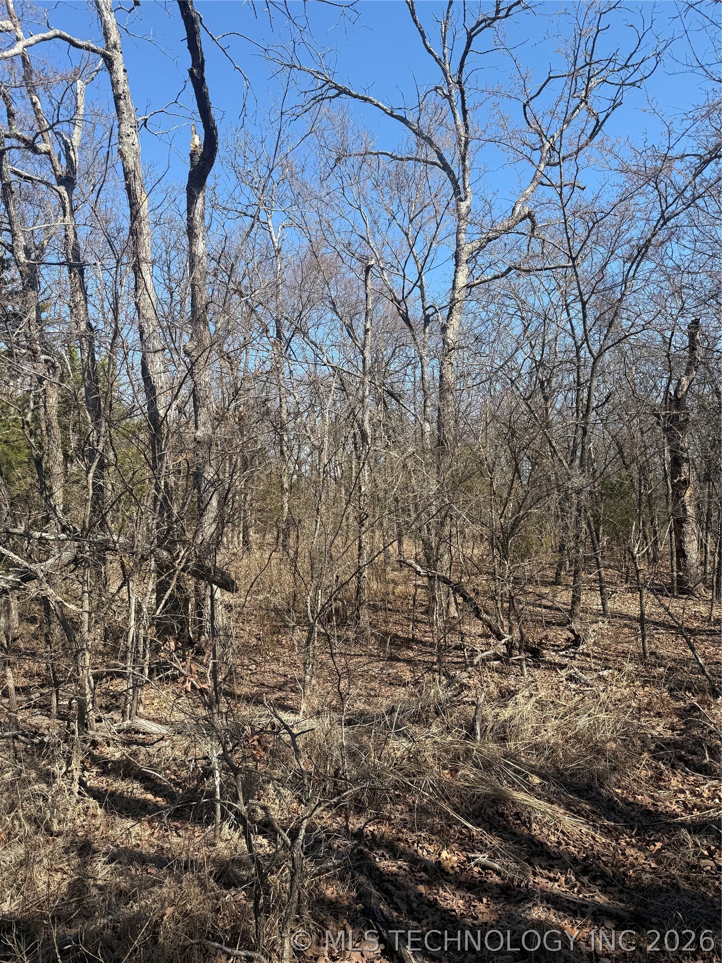 Fig Road Property Photo 35