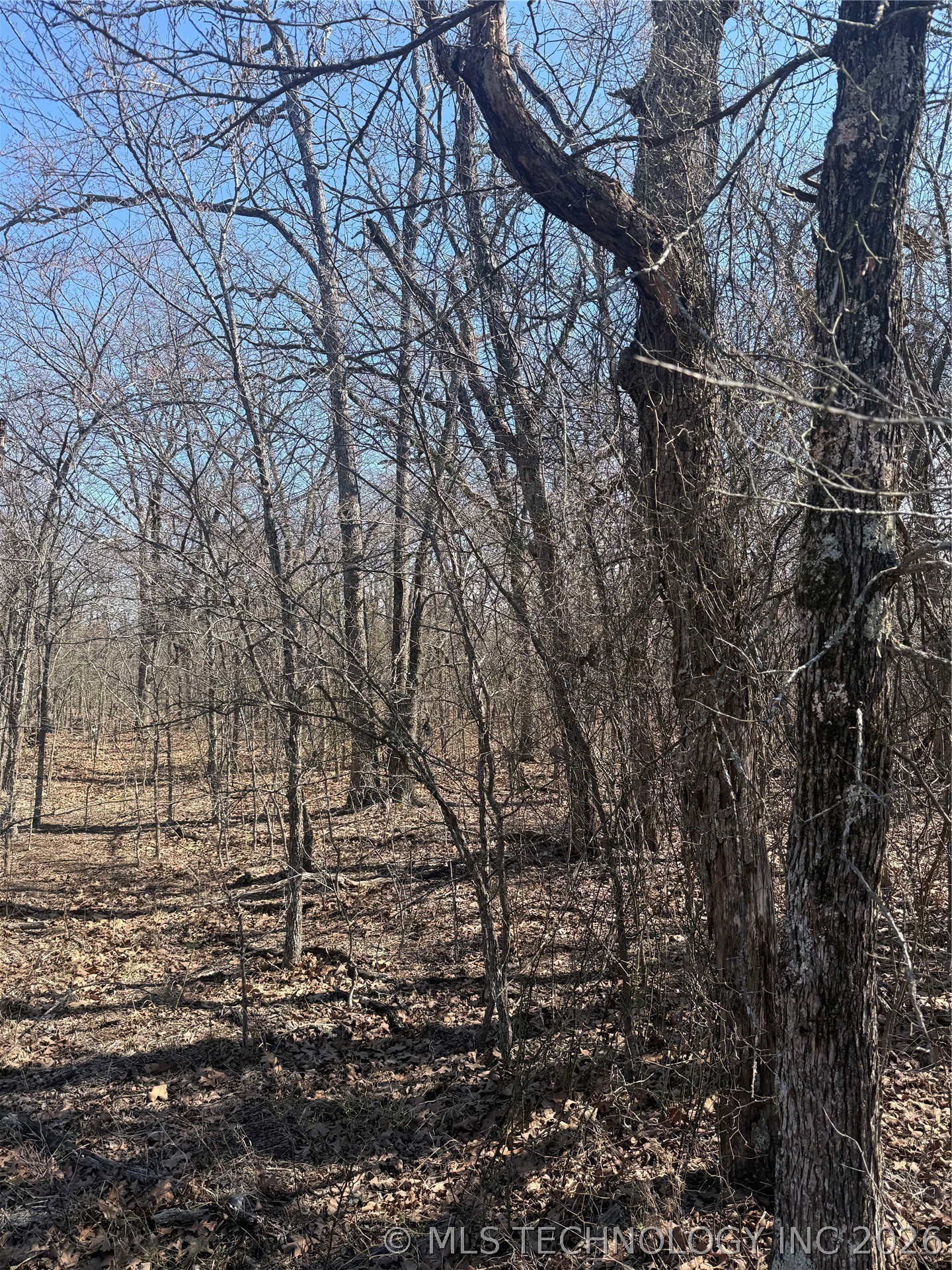 Fig Road Property Photo 36