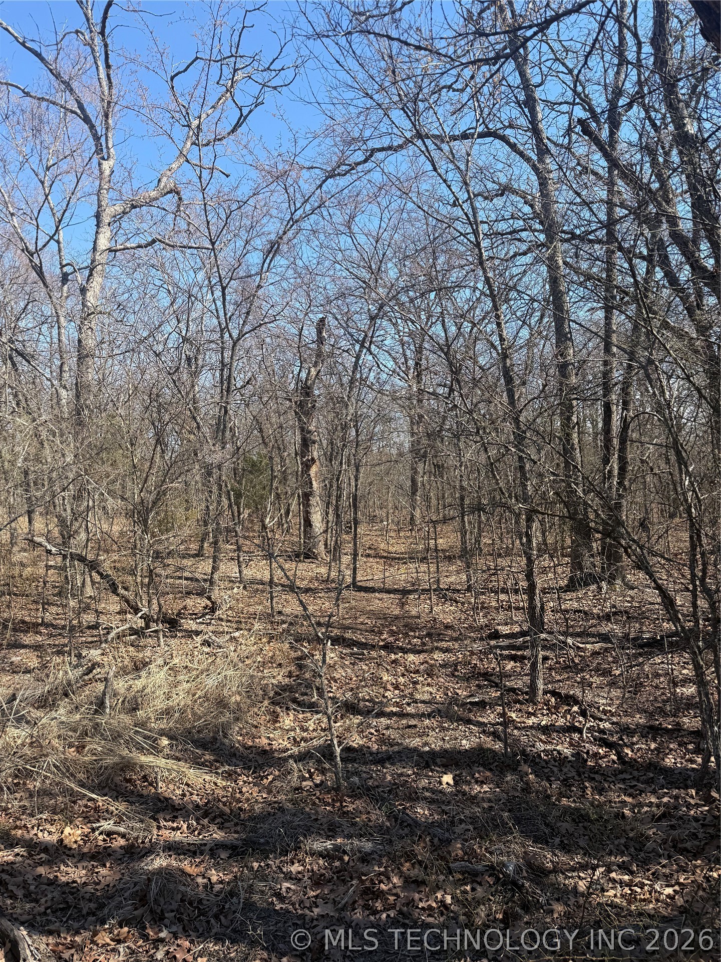 Fig Road Property Photo 37