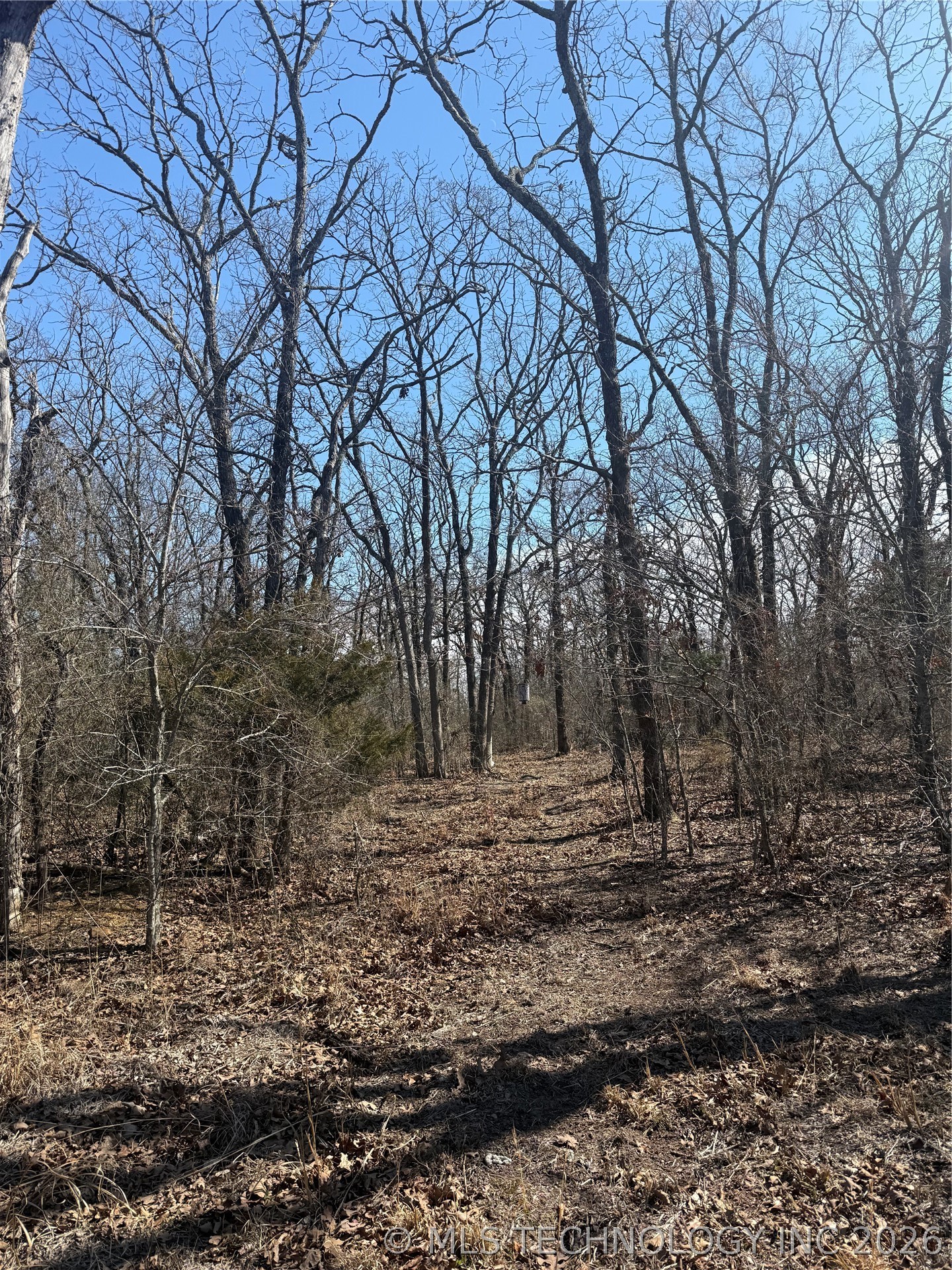 Fig Road Property Photo 38