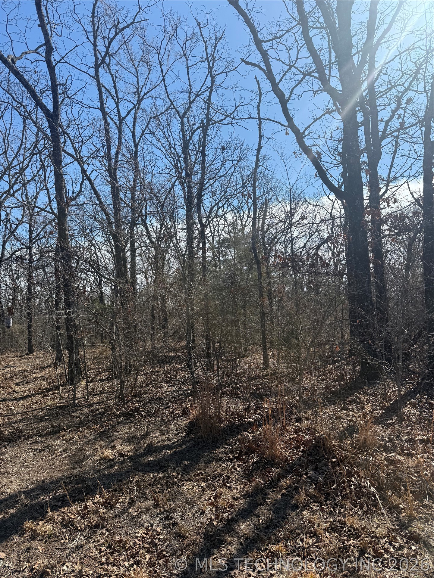 Fig Road Property Photo 39