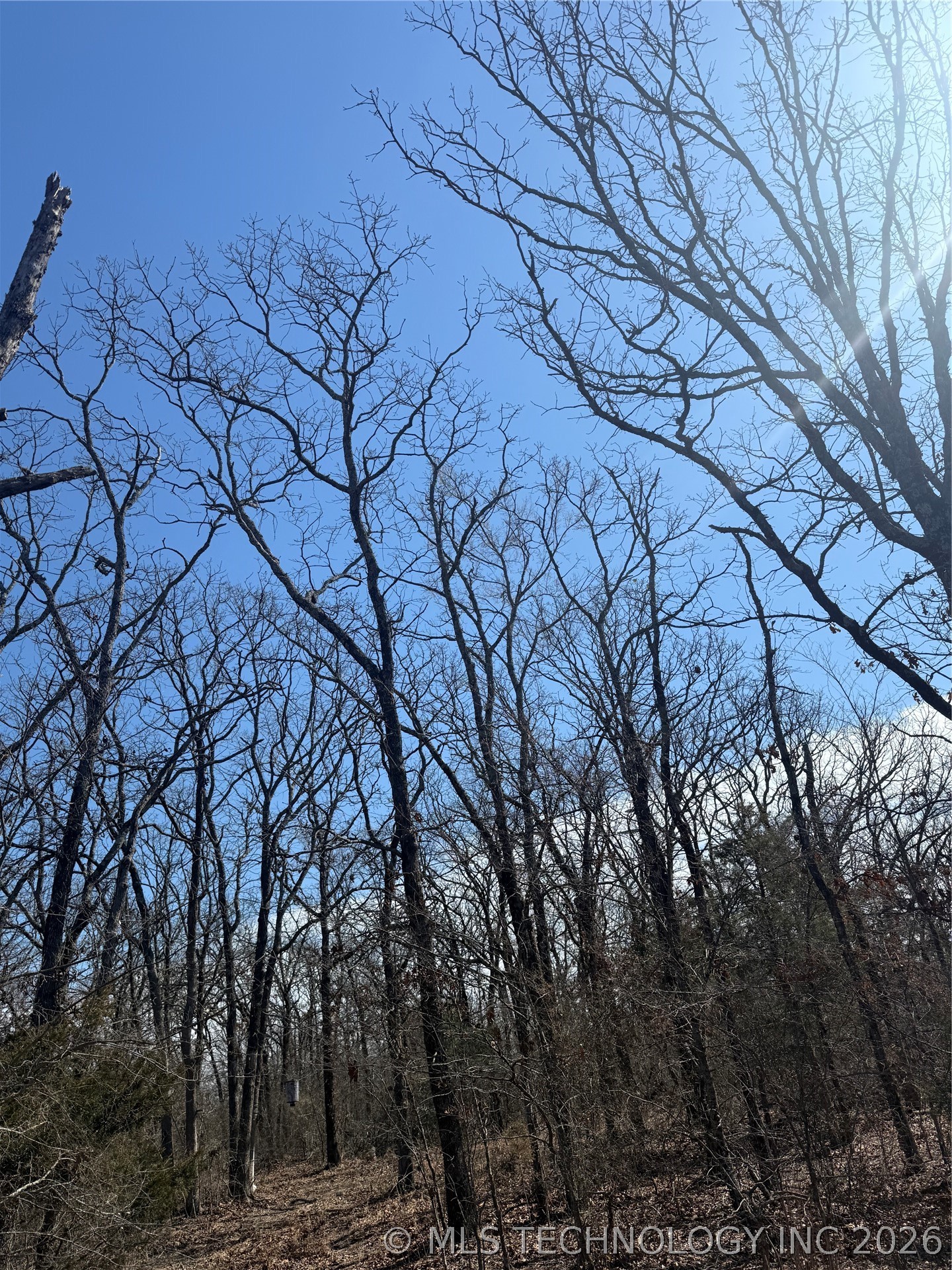 Fig Road Property Photo 40