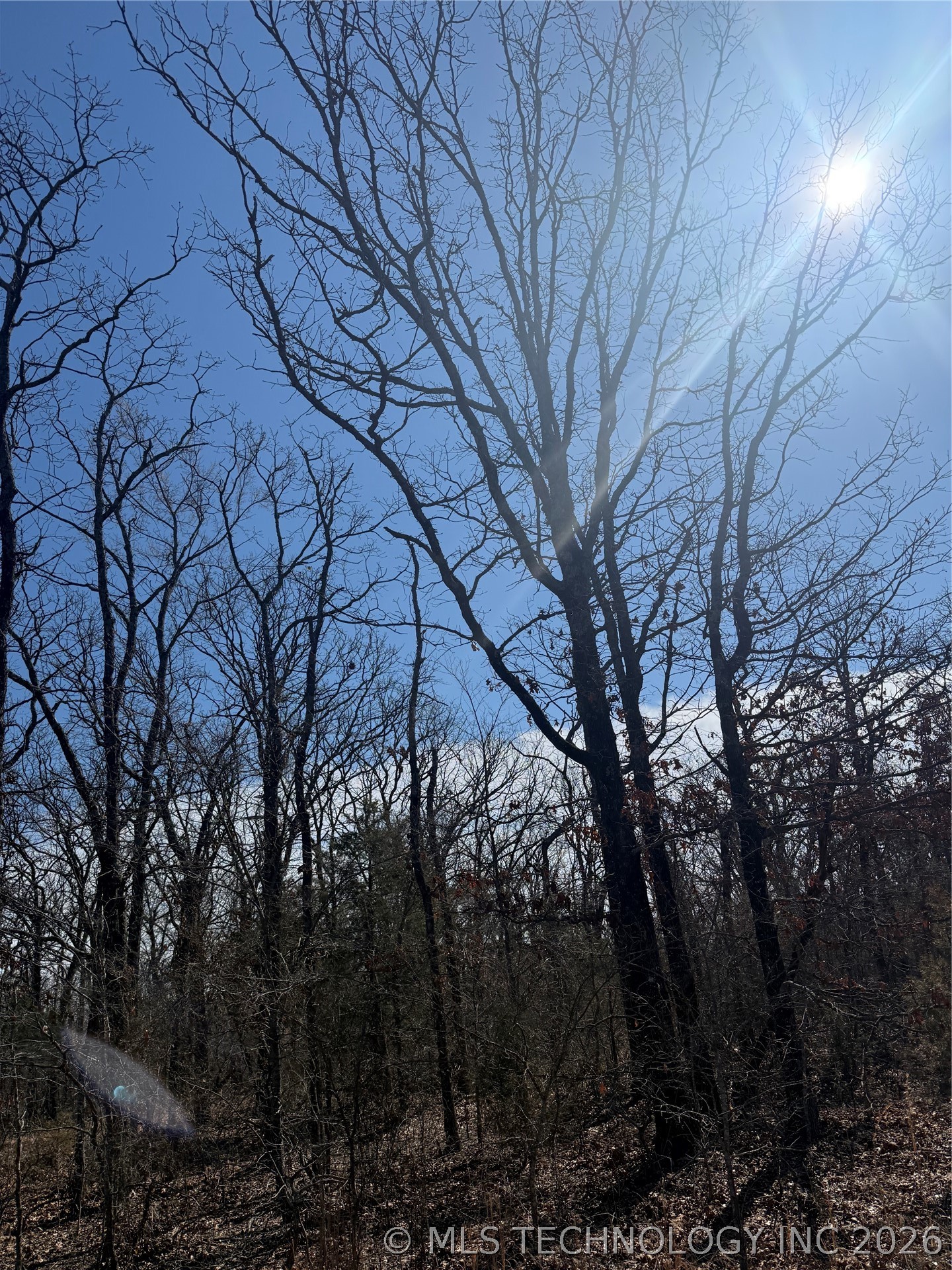 Fig Road Property Photo 41