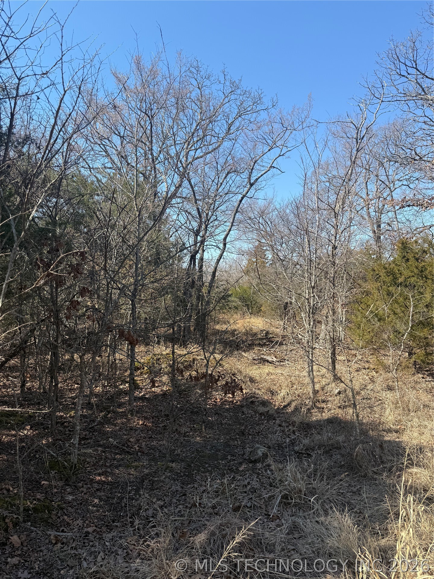 Fig Road Property Photo 42