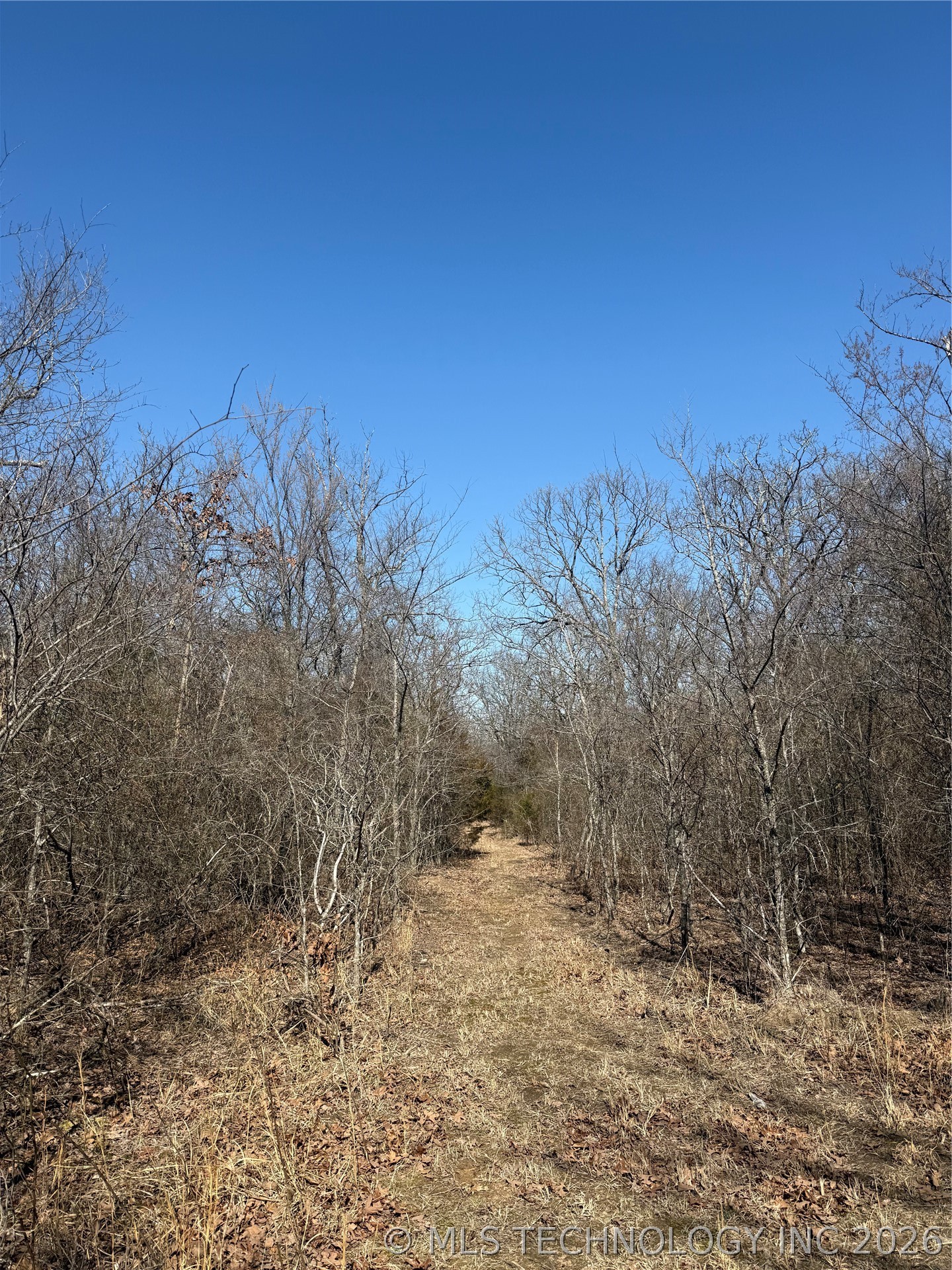 Fig Road Property Photo 43