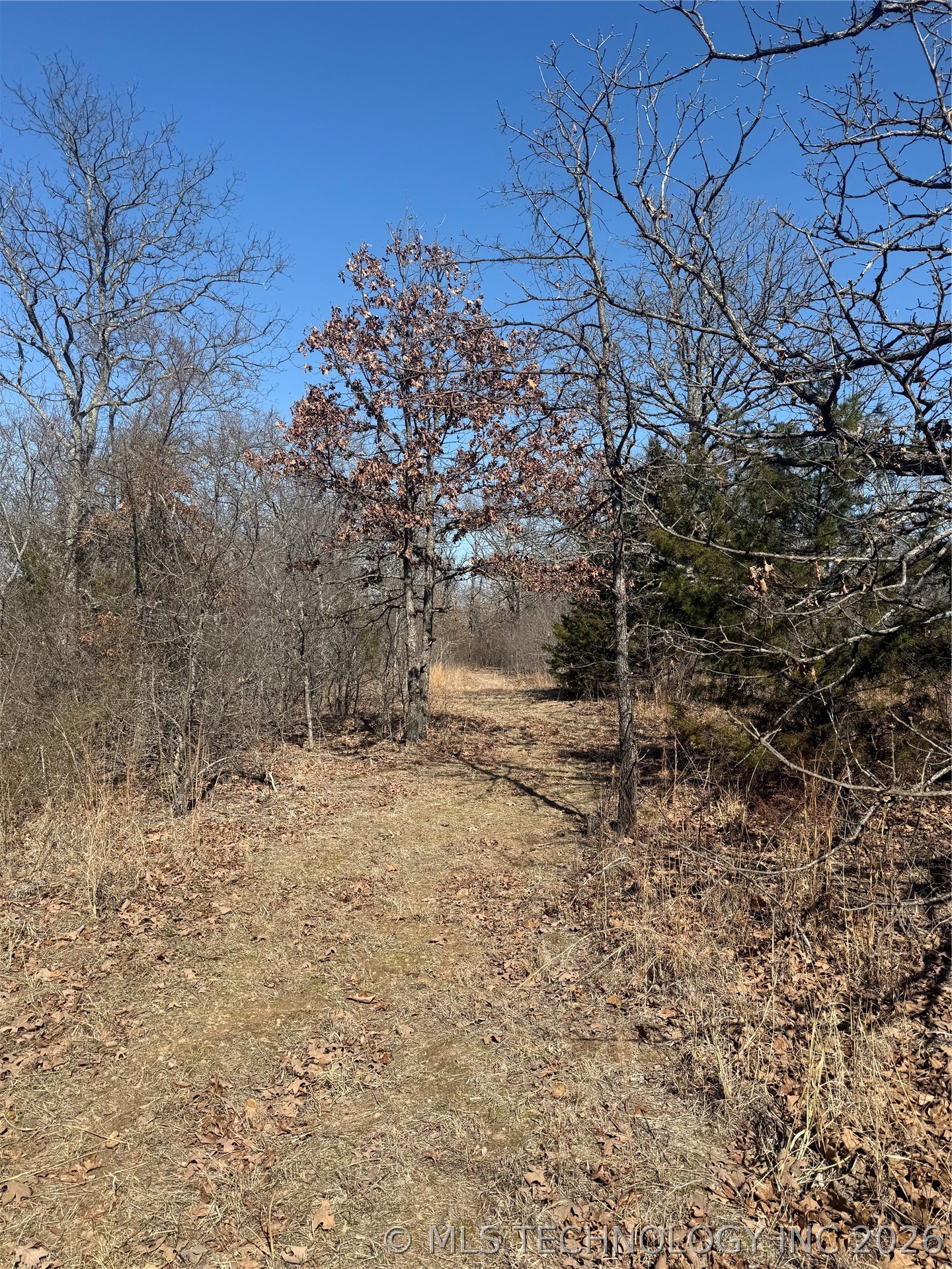 Fig Road Property Photo 44