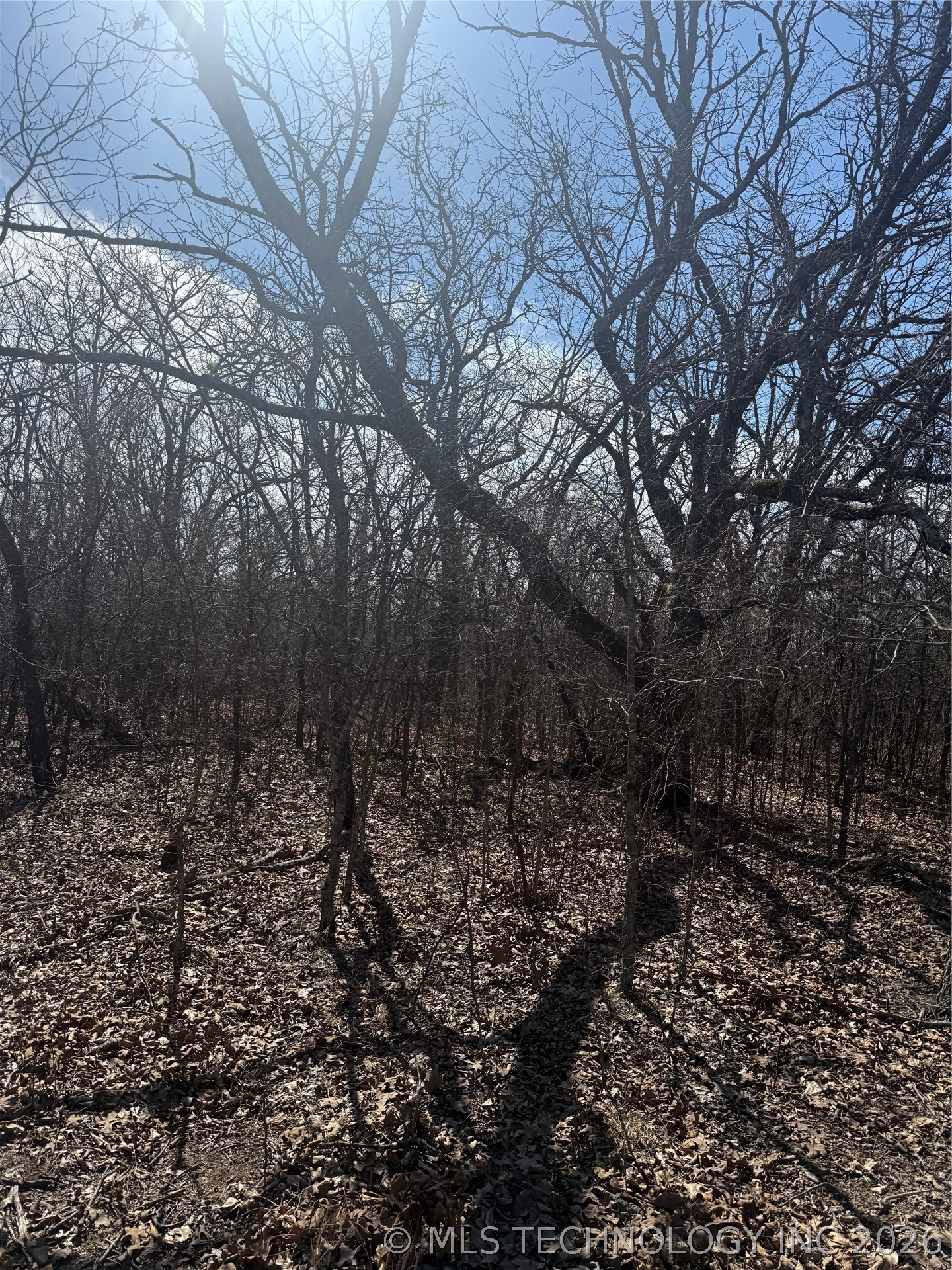 Fig Road Property Photo 45