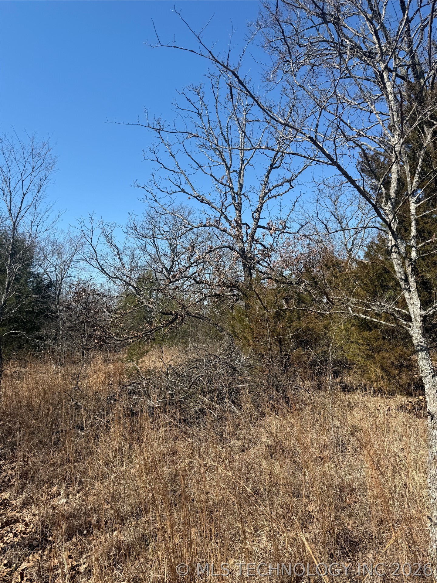 Fig Road Property Photo 46