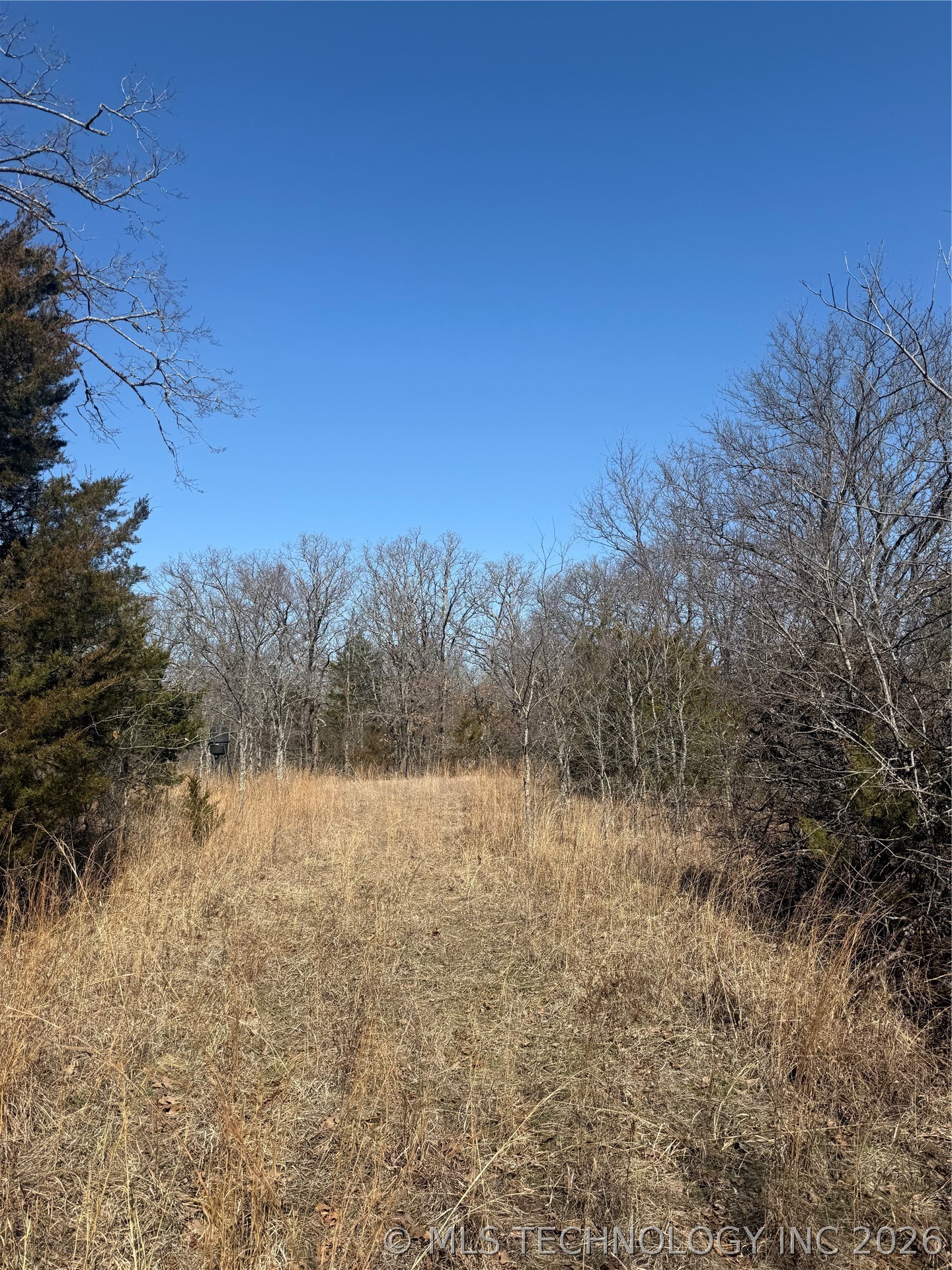 Fig Road Property Photo 47