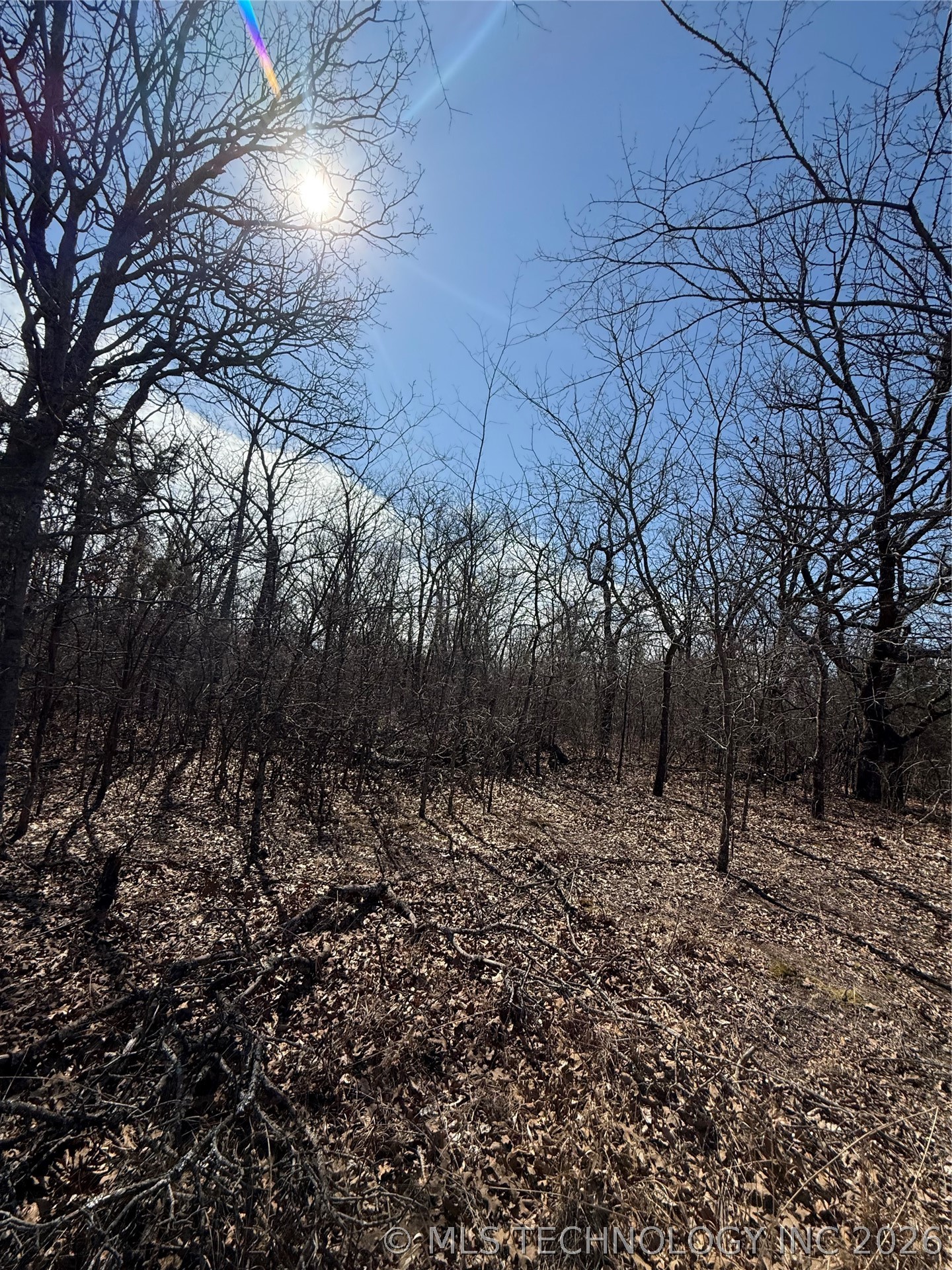 Fig Road Property Photo 48