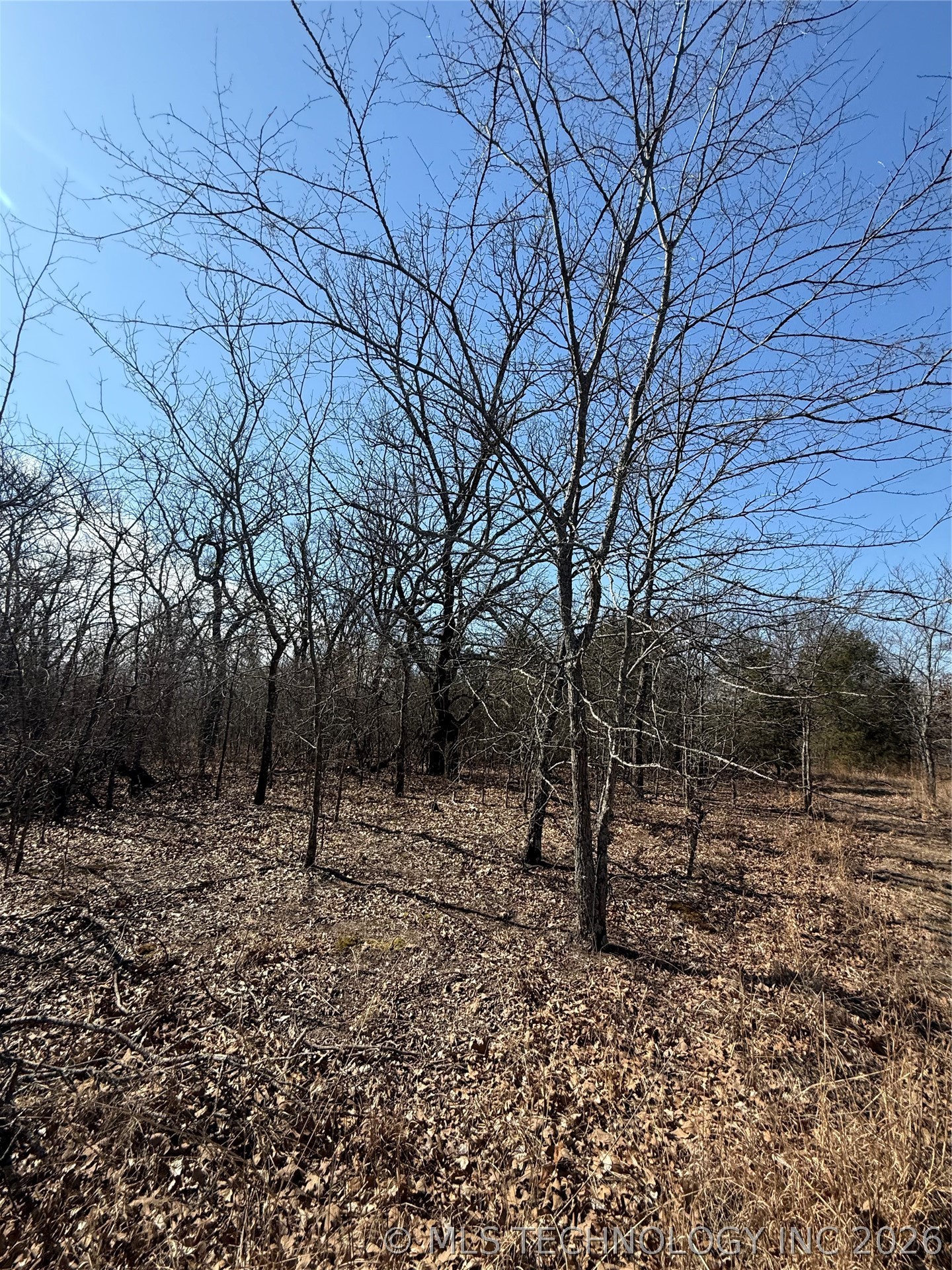 Fig Road Property Photo 49