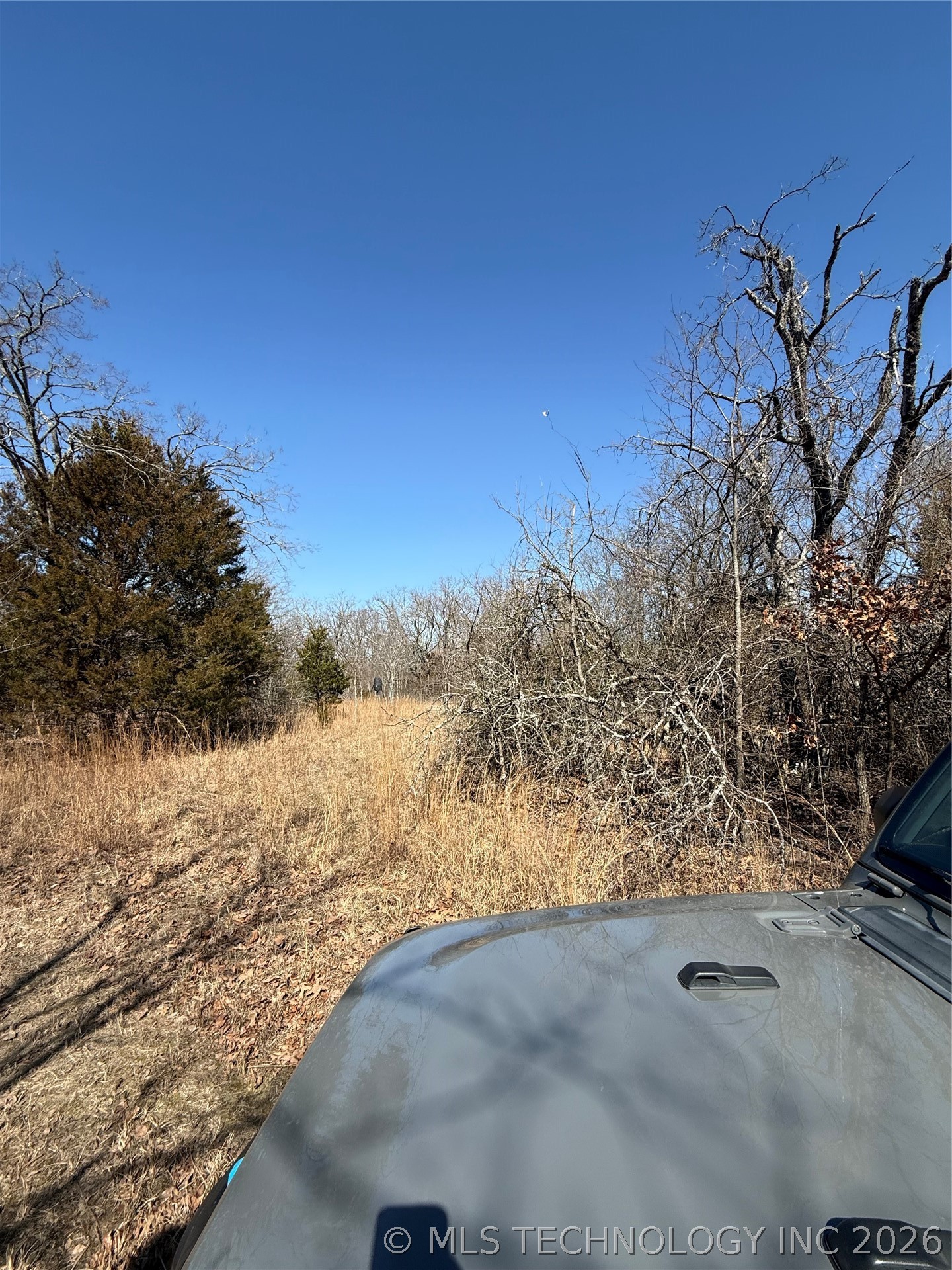 Fig Road Property Photo 50