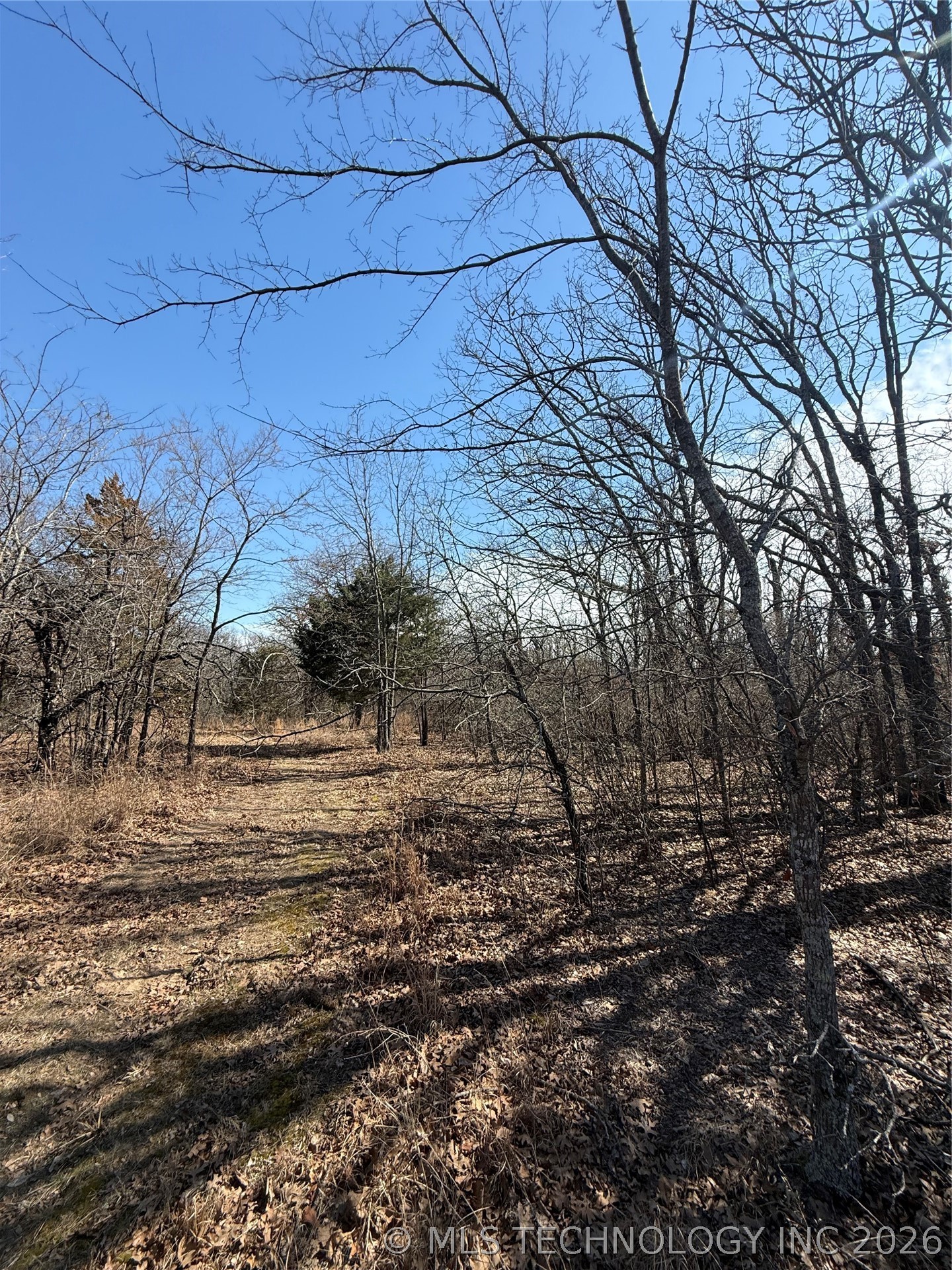 Fig Road Property Photo 51