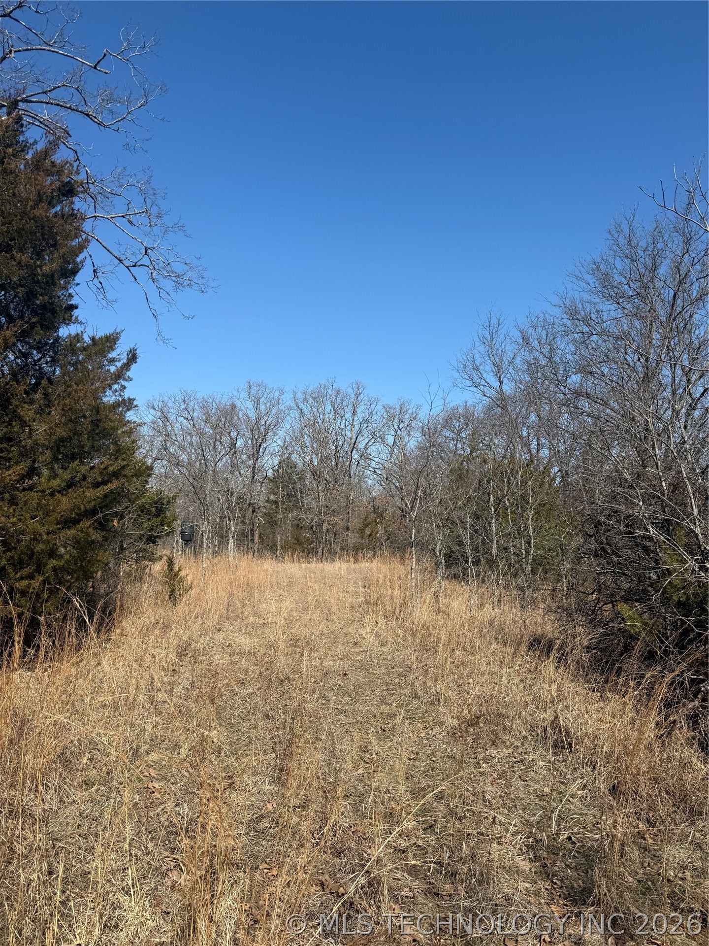 Fig Road Property Photo 52