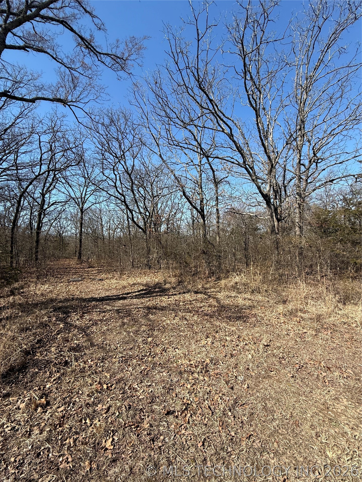 Fig Road Property Photo 53