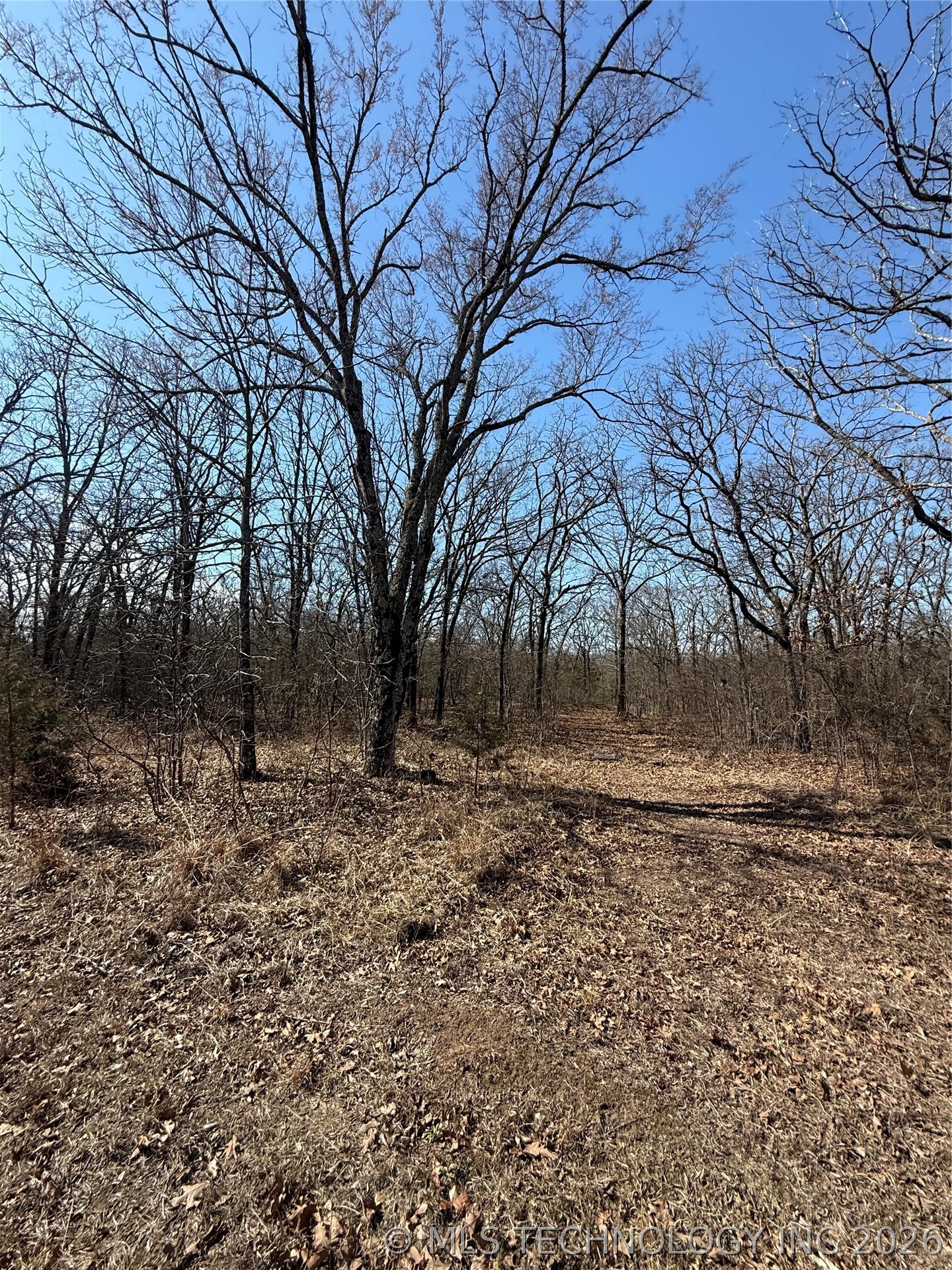 Fig Road Property Photo 54