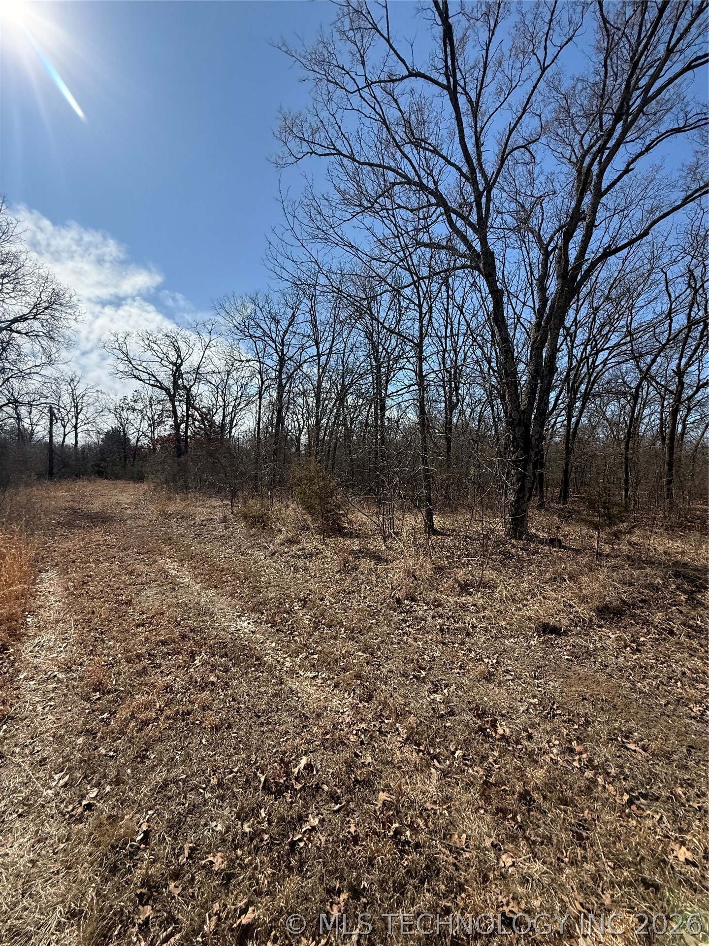 Fig Road Property Photo 55