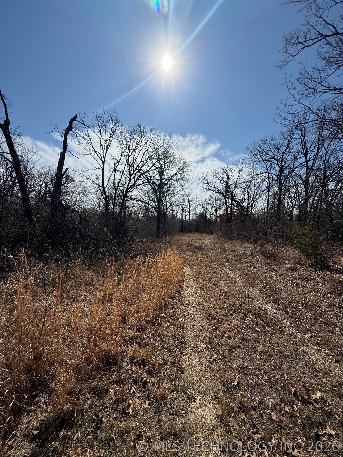 Fig Road Property Photo 56