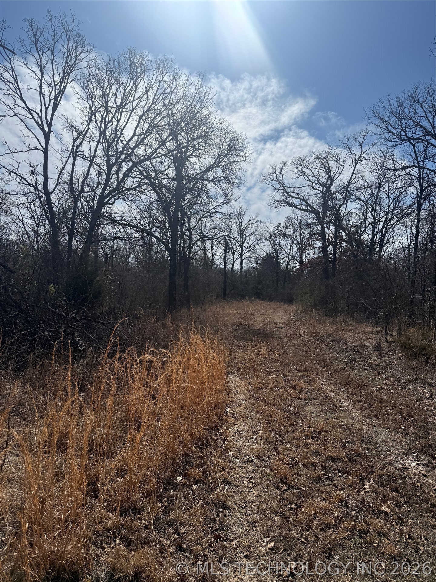 Fig Road Property Photo 57