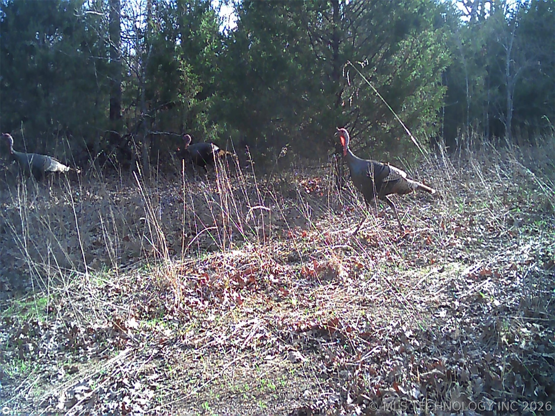 Fig Road Property Photo 58