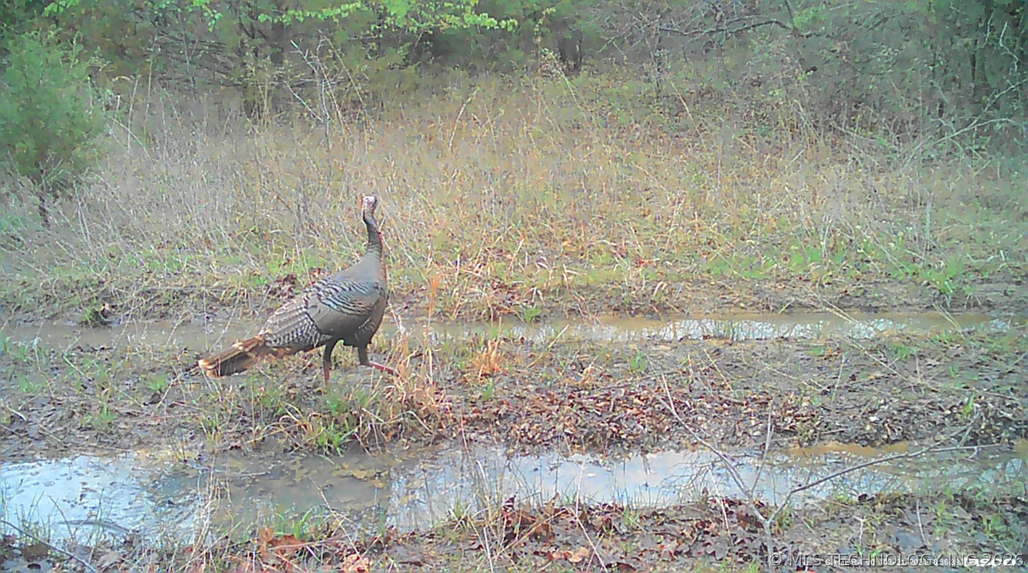 Fig Road Property Photo 59