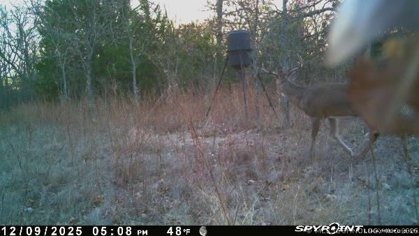 Fig Road Property Photo 61