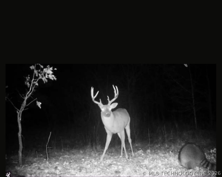 Fig Road Property Photo 62