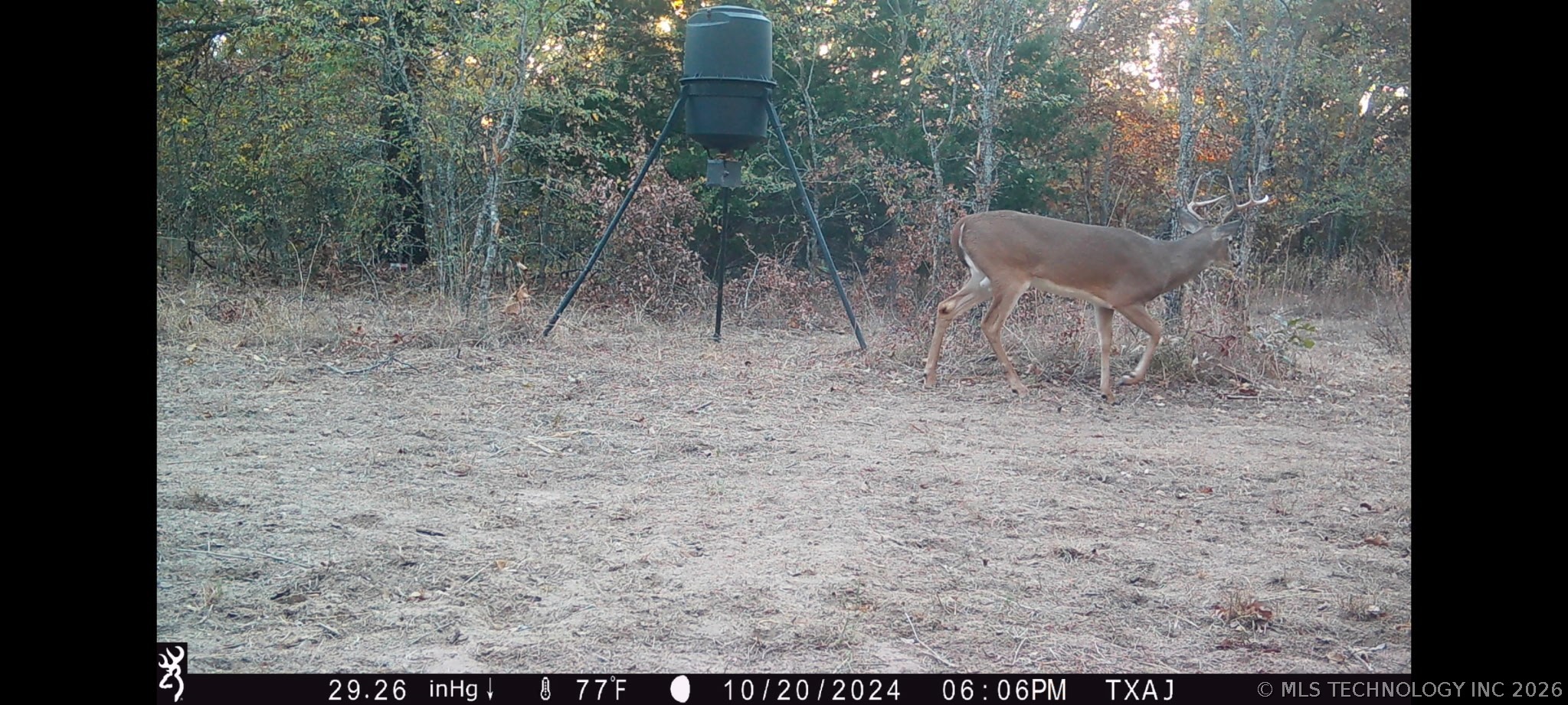 Fig Road Property Photo 63