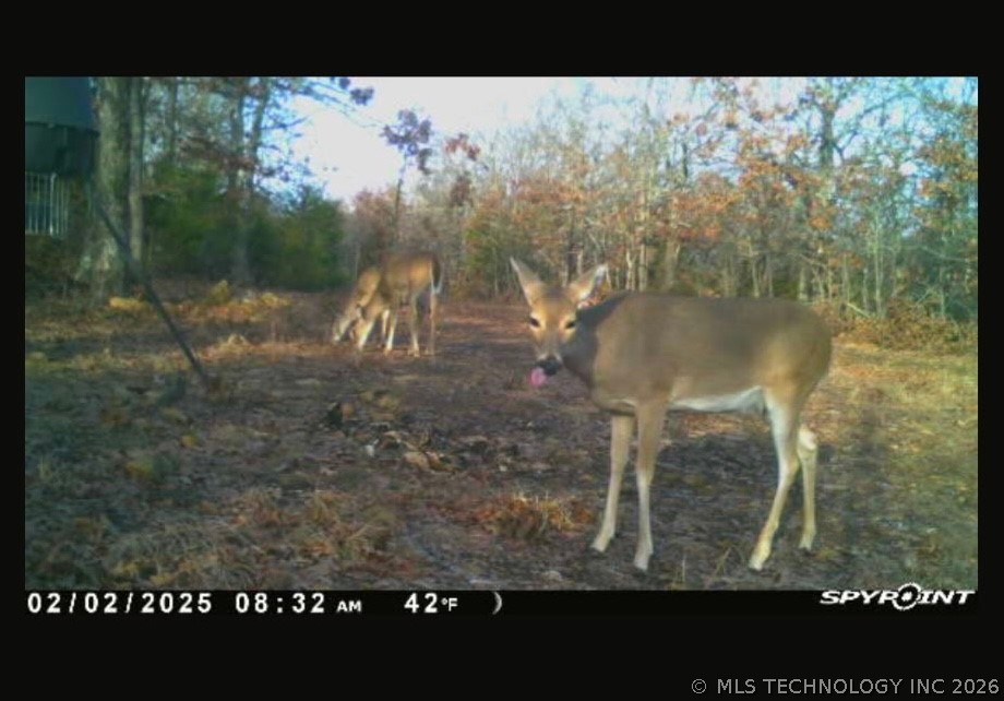 Fig Road Property Photo 64