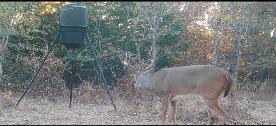 Fig Road Property Photo 65